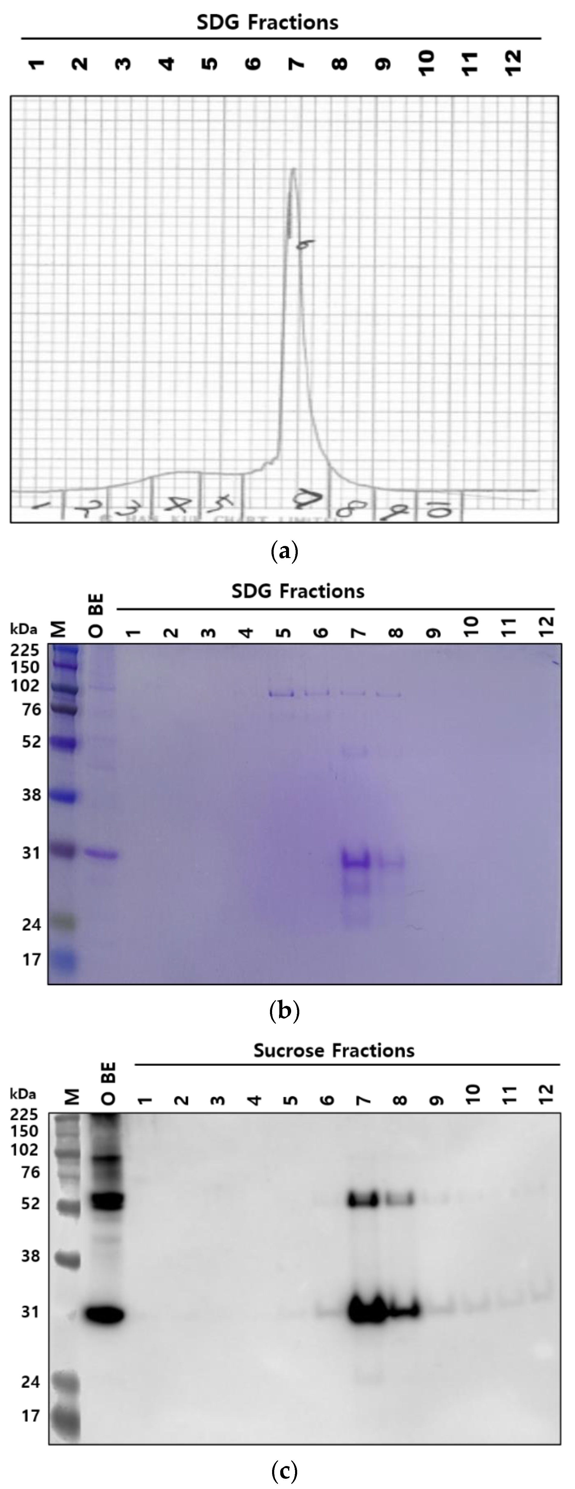 Vaccines 10 00667 g002a