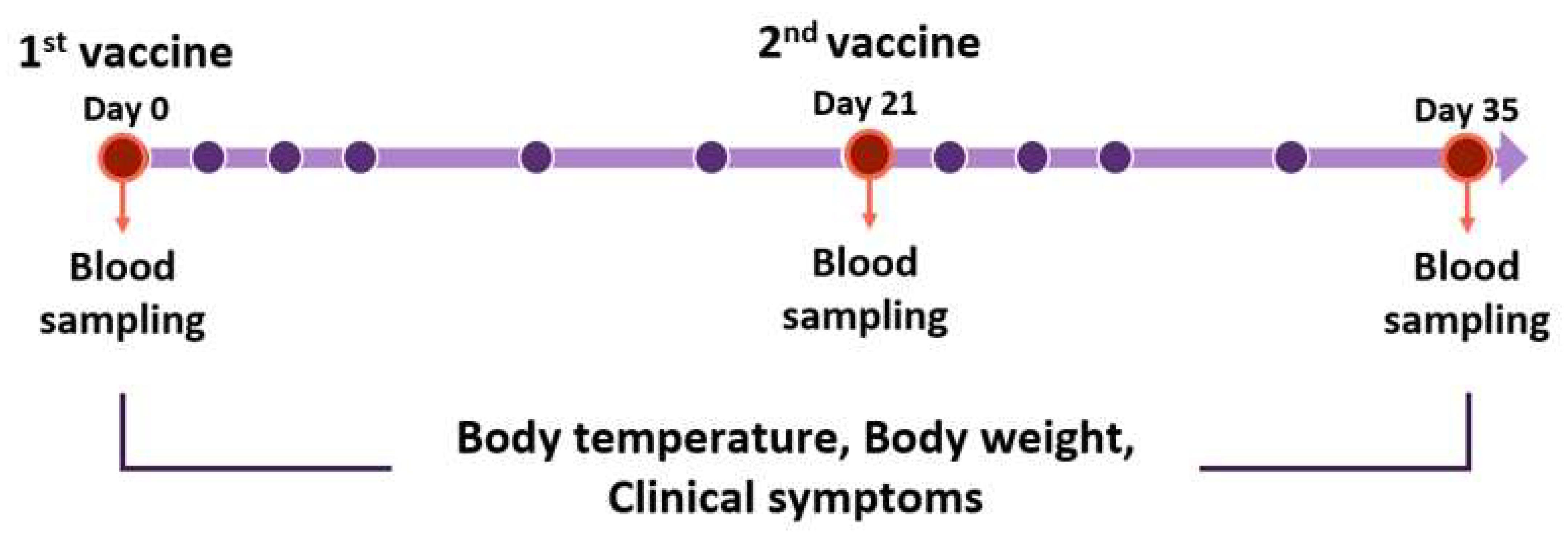 Vaccines 10 00676 g002 550