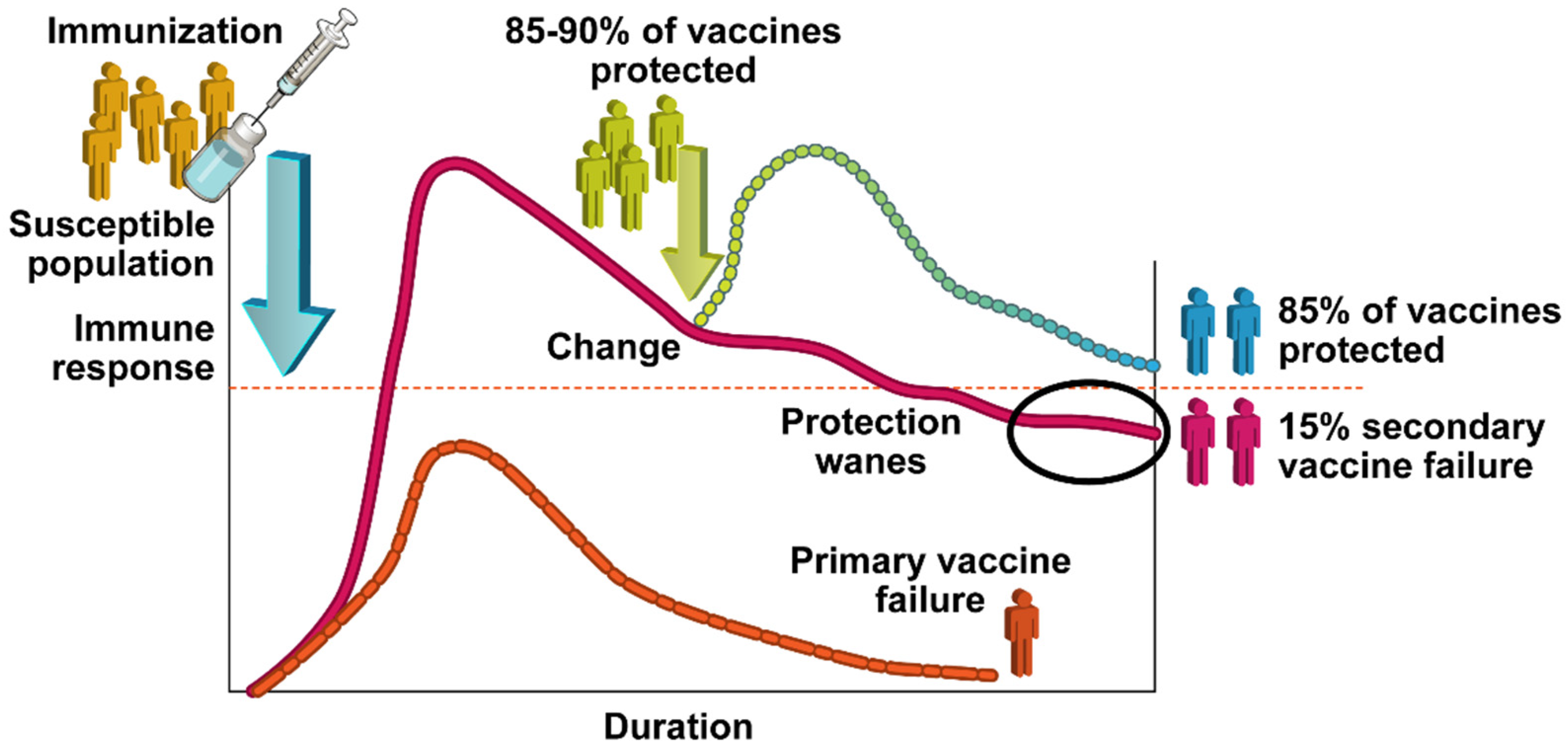 Vaccines 10 00683 g001 Vaccines 10 00683 g001