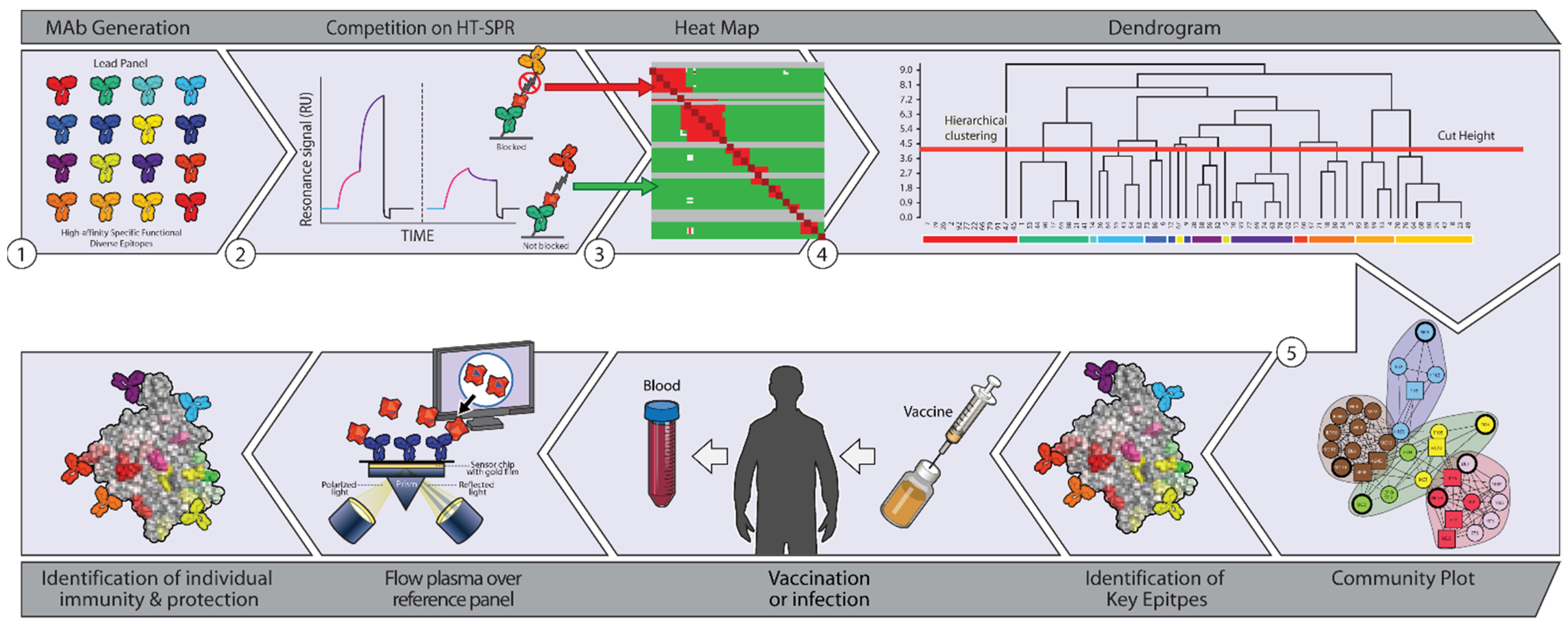 Vaccines 10 00683 g002 Vaccines 10 00683 g002