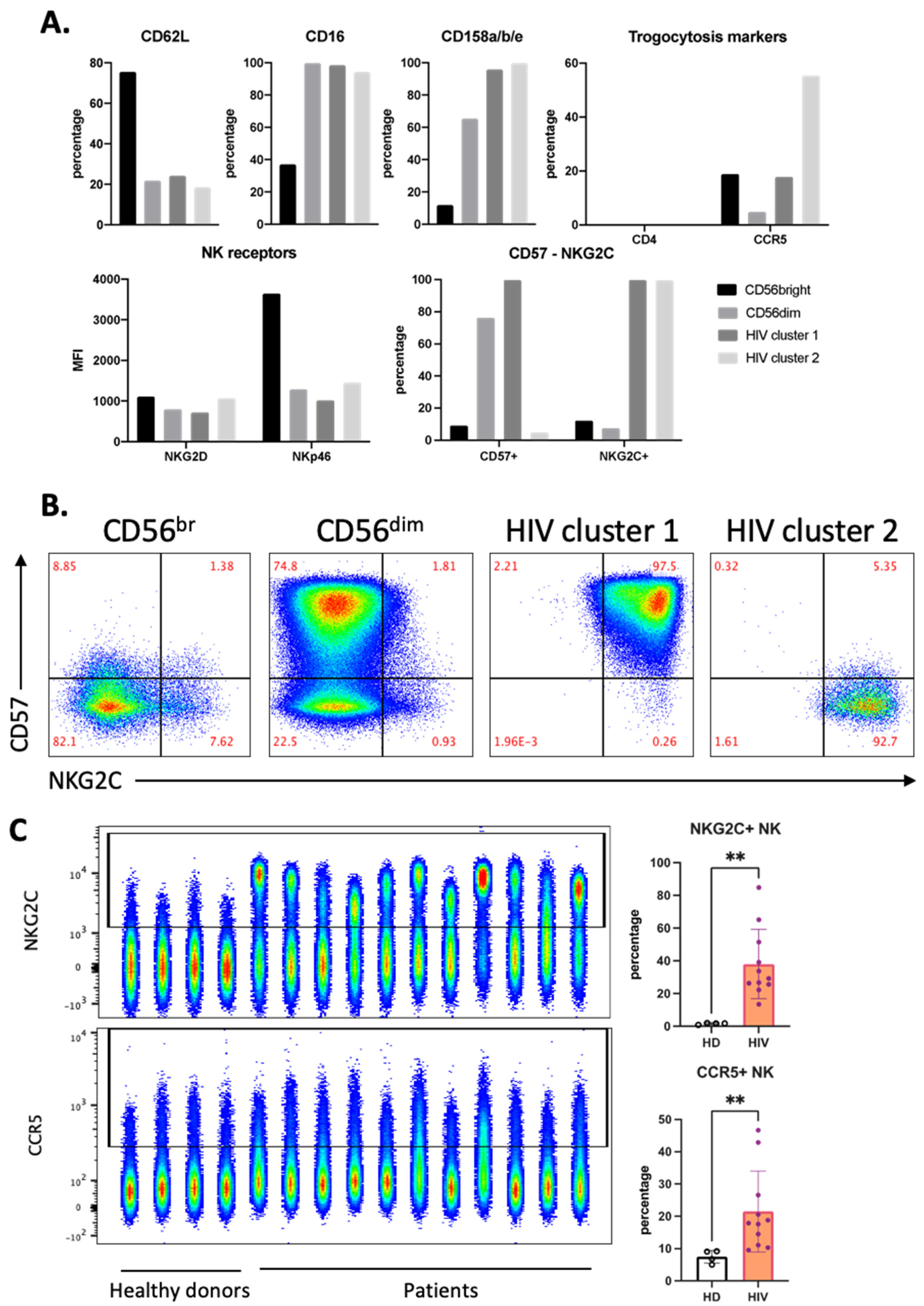 Vaccines 10 00688 g004 Vaccines 10 00688 g004
