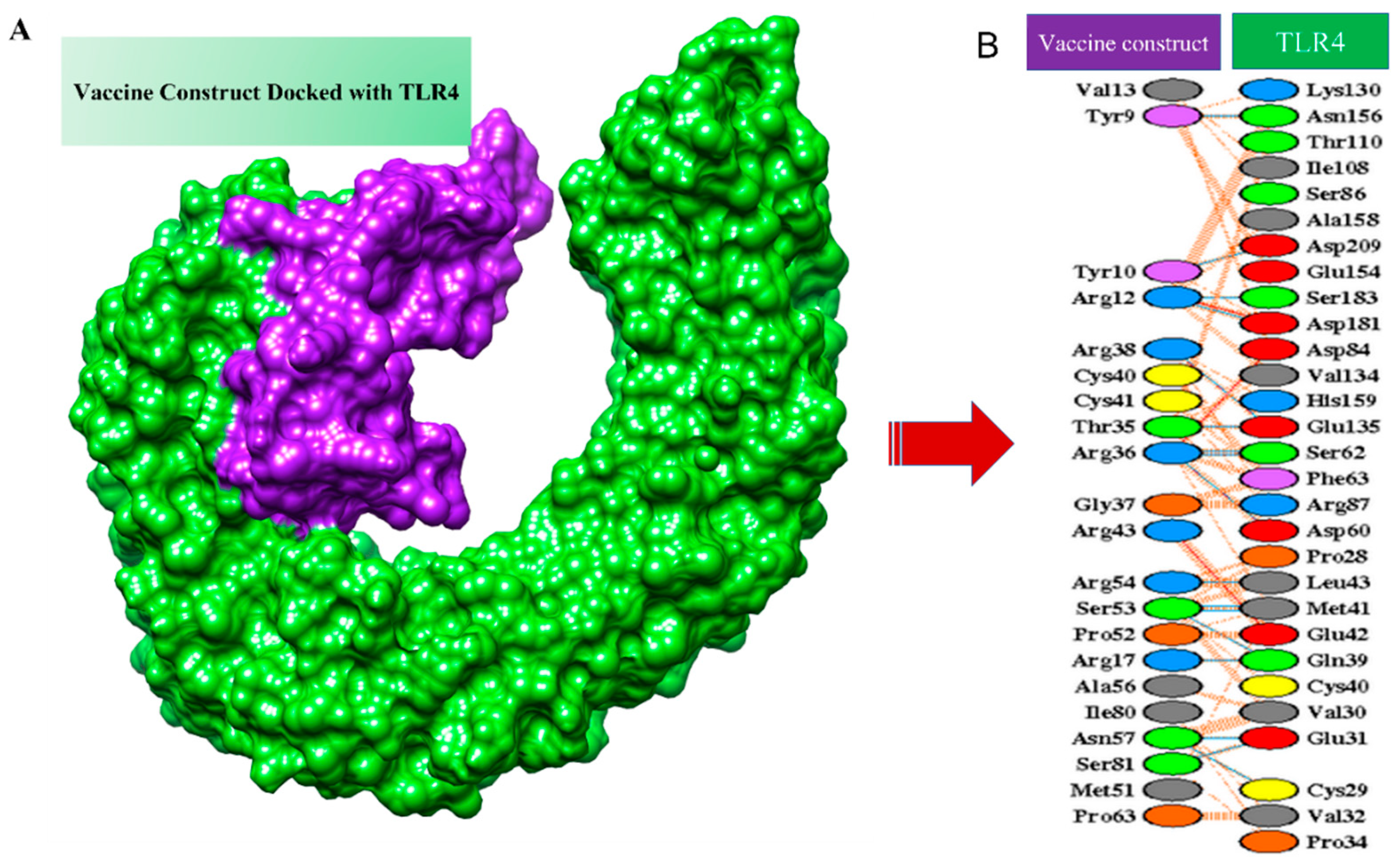 Vaccines 10 00691 g007 Vaccines 10 00691 g007