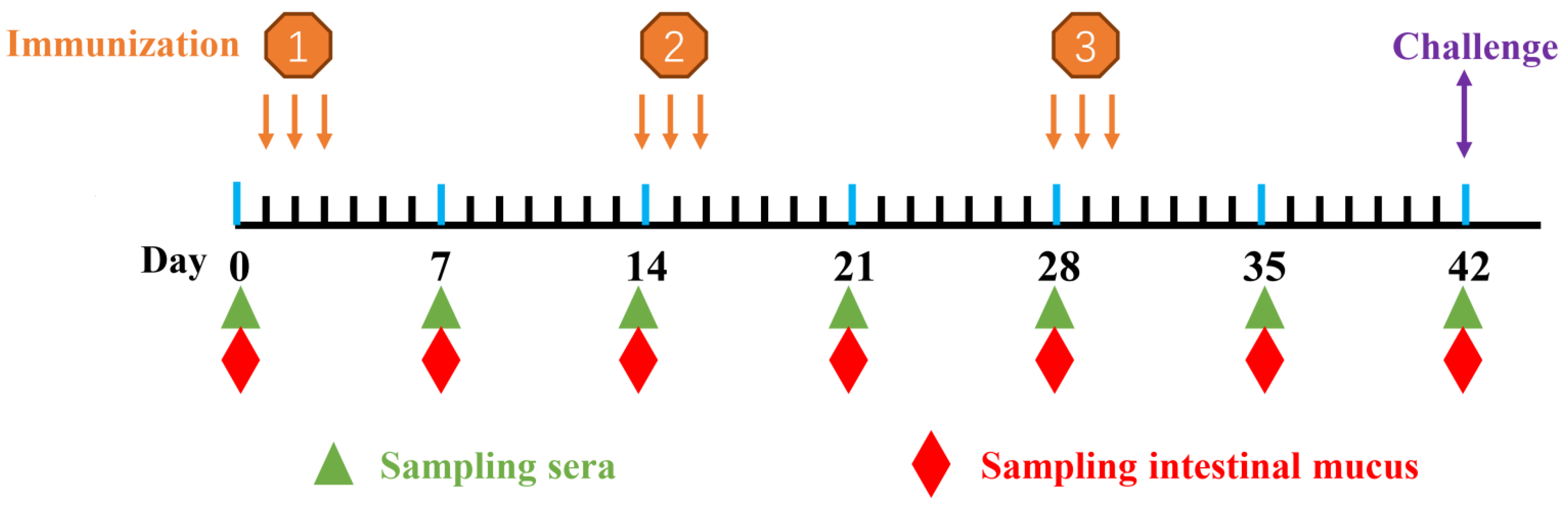 Vaccines 10 00698 g002