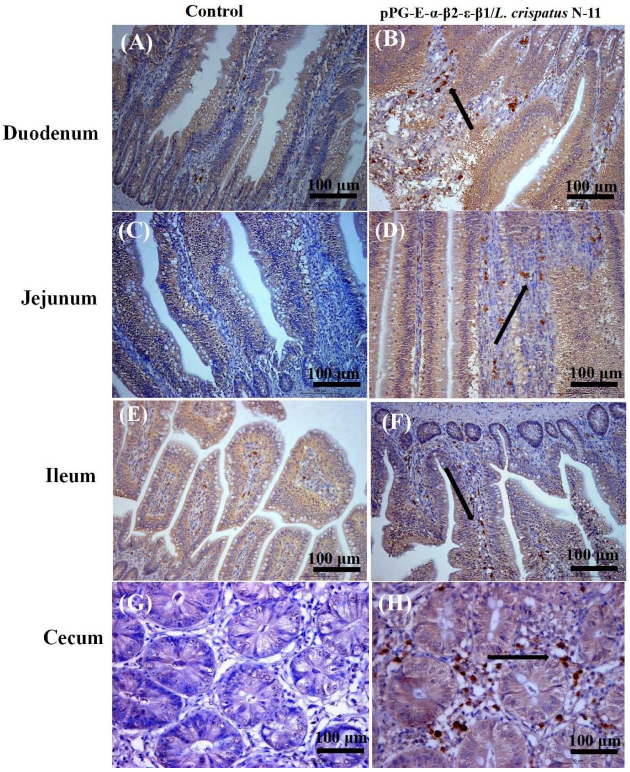 Vaccines 10 00698 g006
