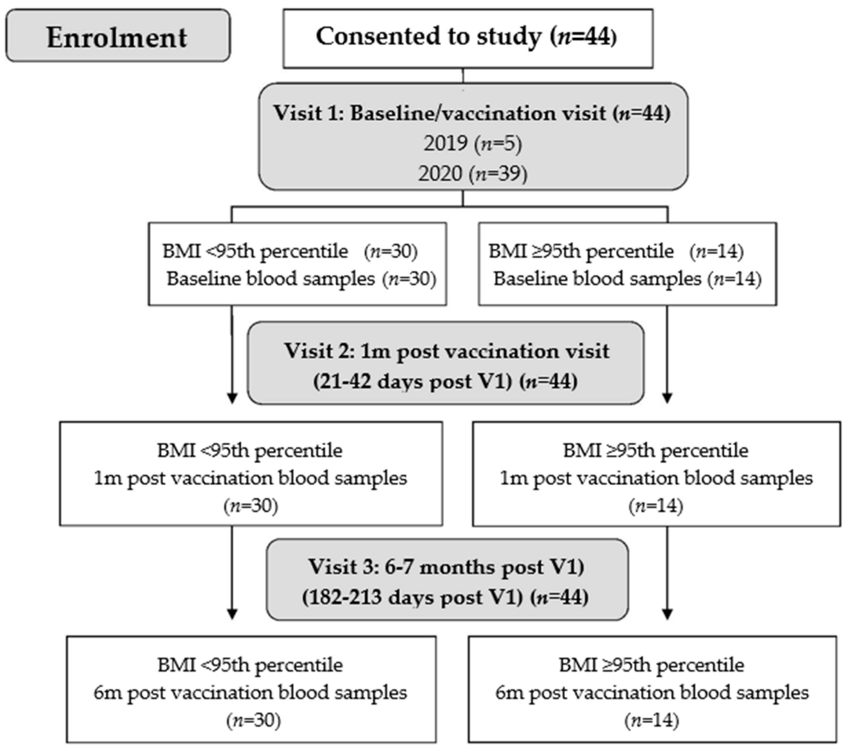 Vaccines 10 00699 g001