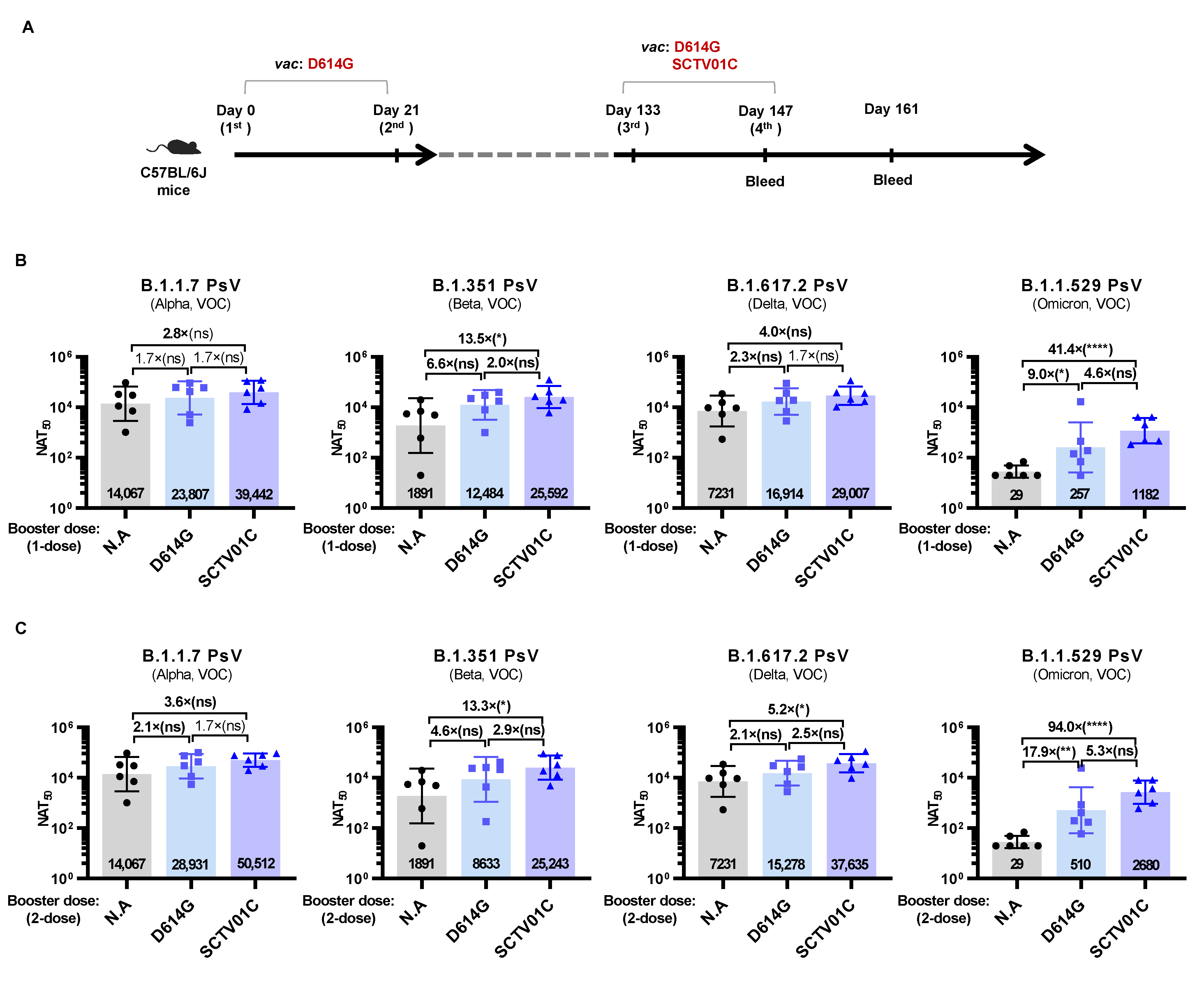 Vaccines 10 00702 g005