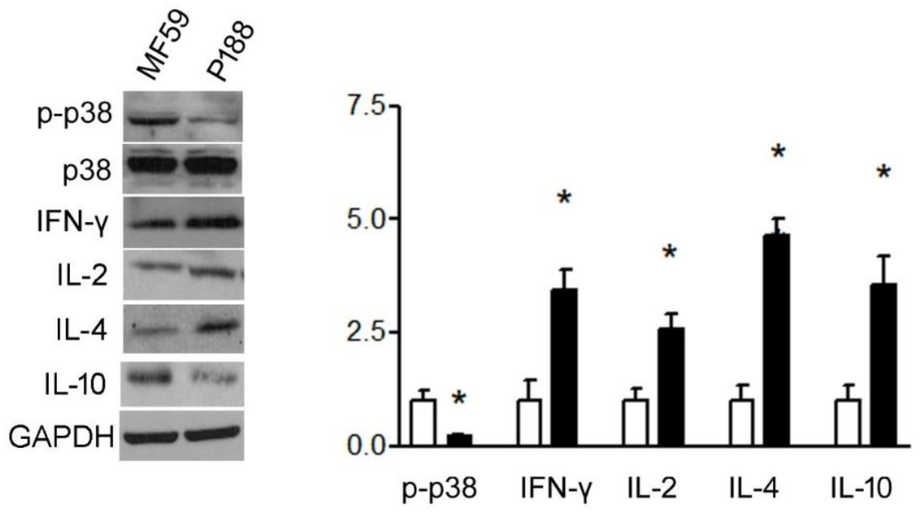 Vaccines 10 00715 g006