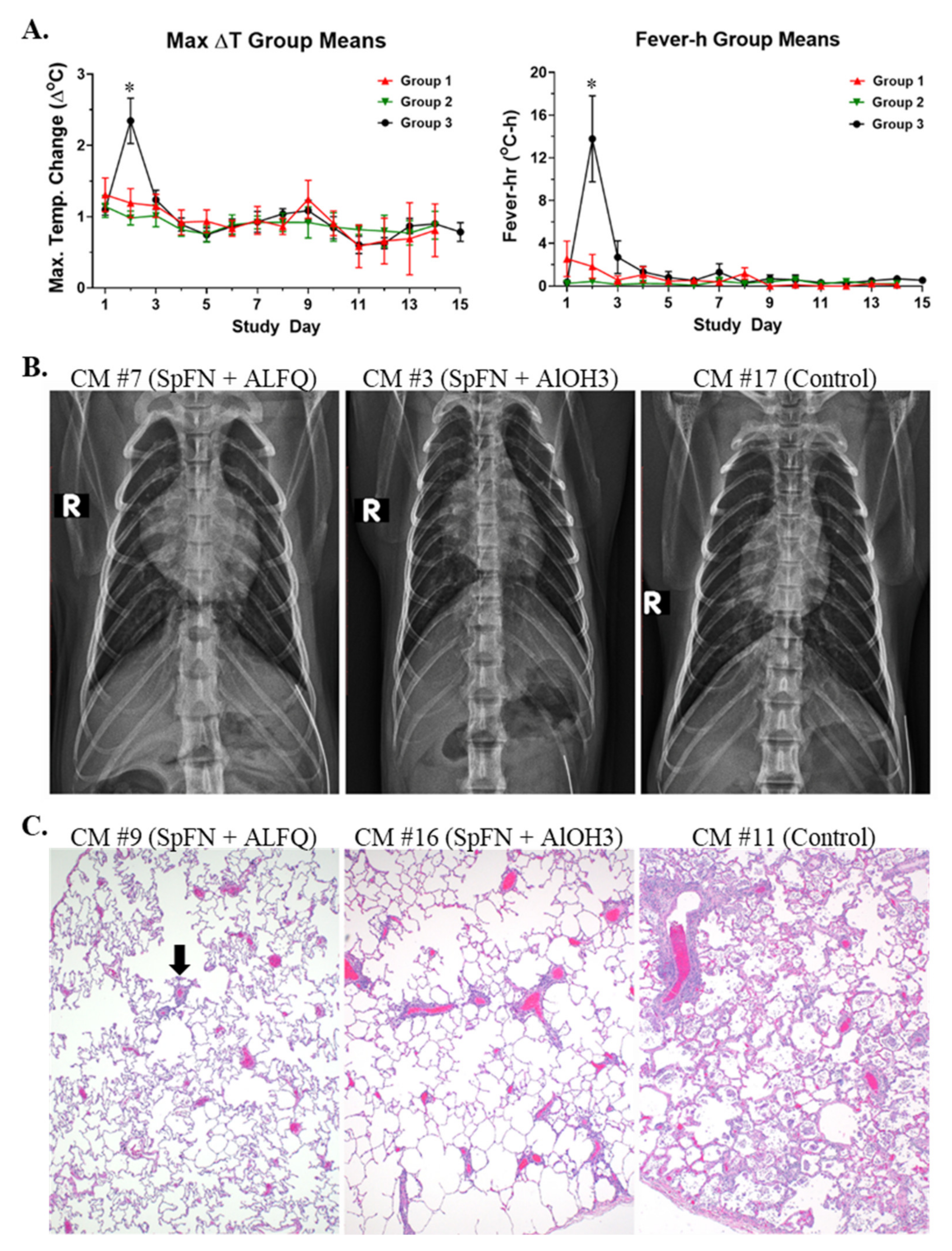 Vaccines 10 00717 g002