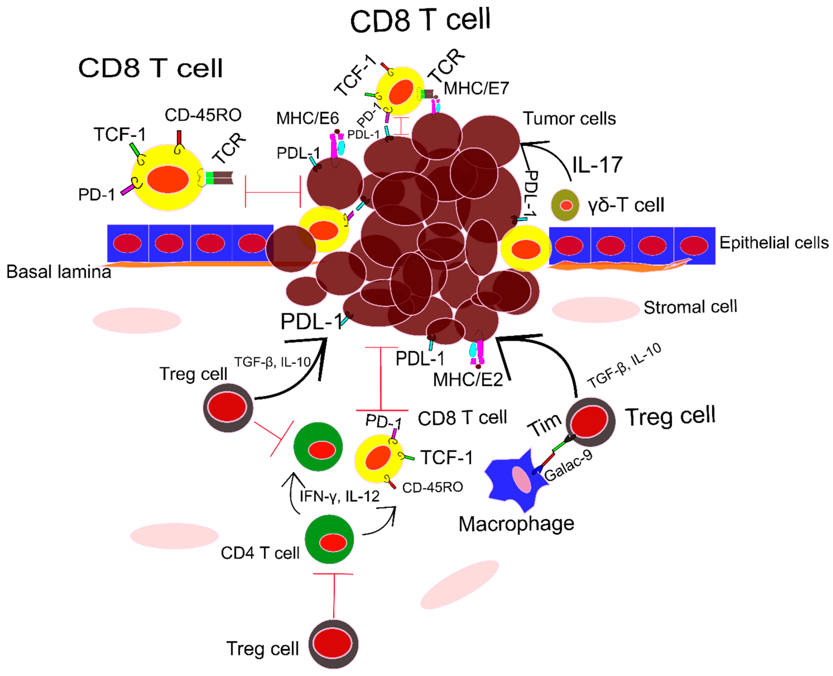 Vaccines 10 00731 g002 550