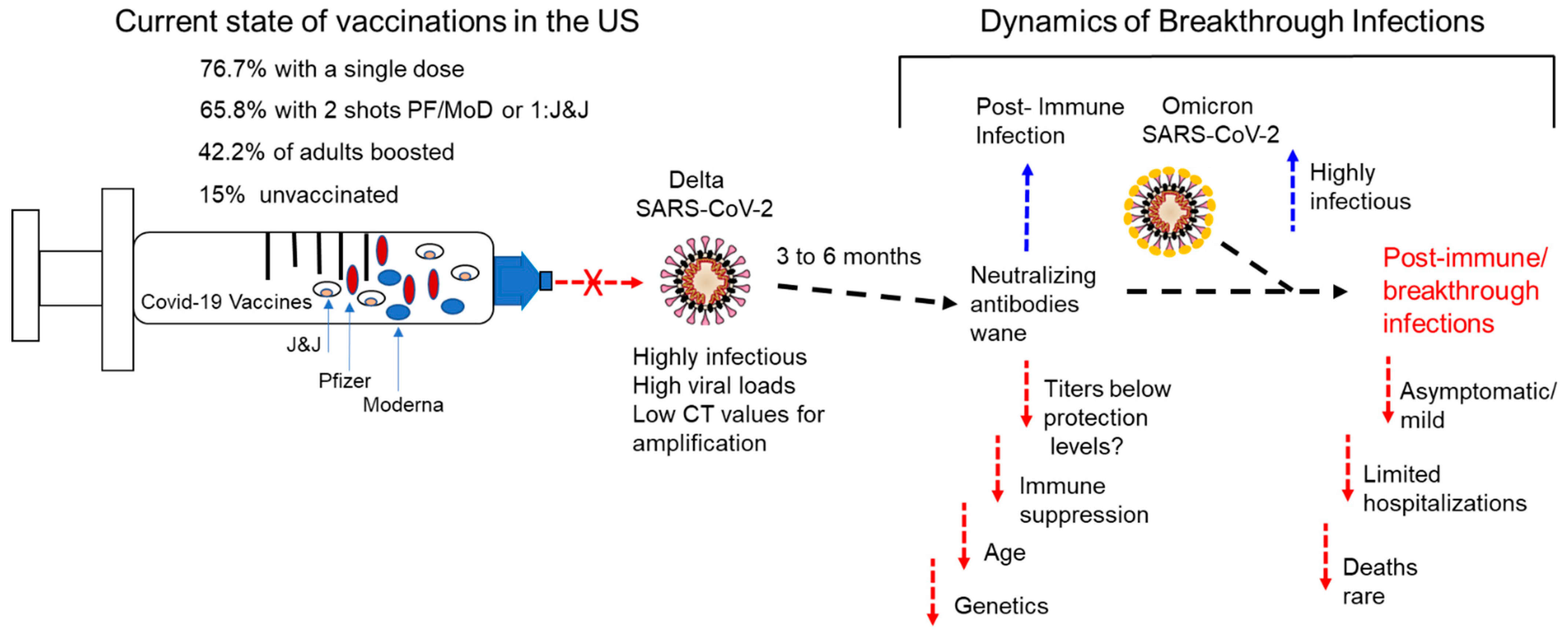 Vaccines 10 00755 g003 550