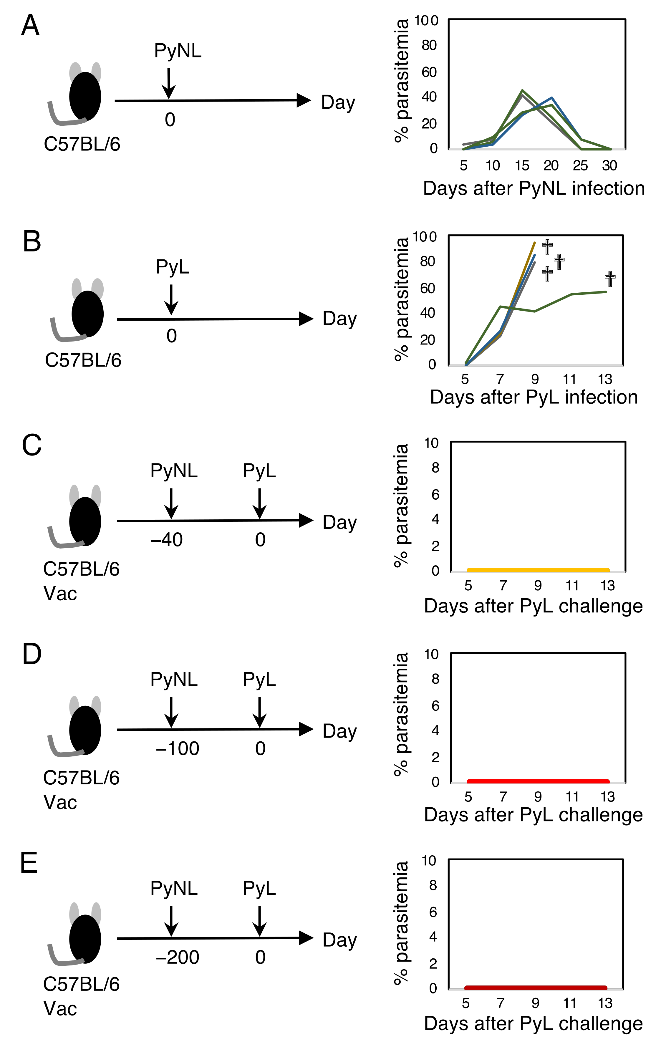 Vaccines 10 00762 g001 Vaccines 10 00762 g001