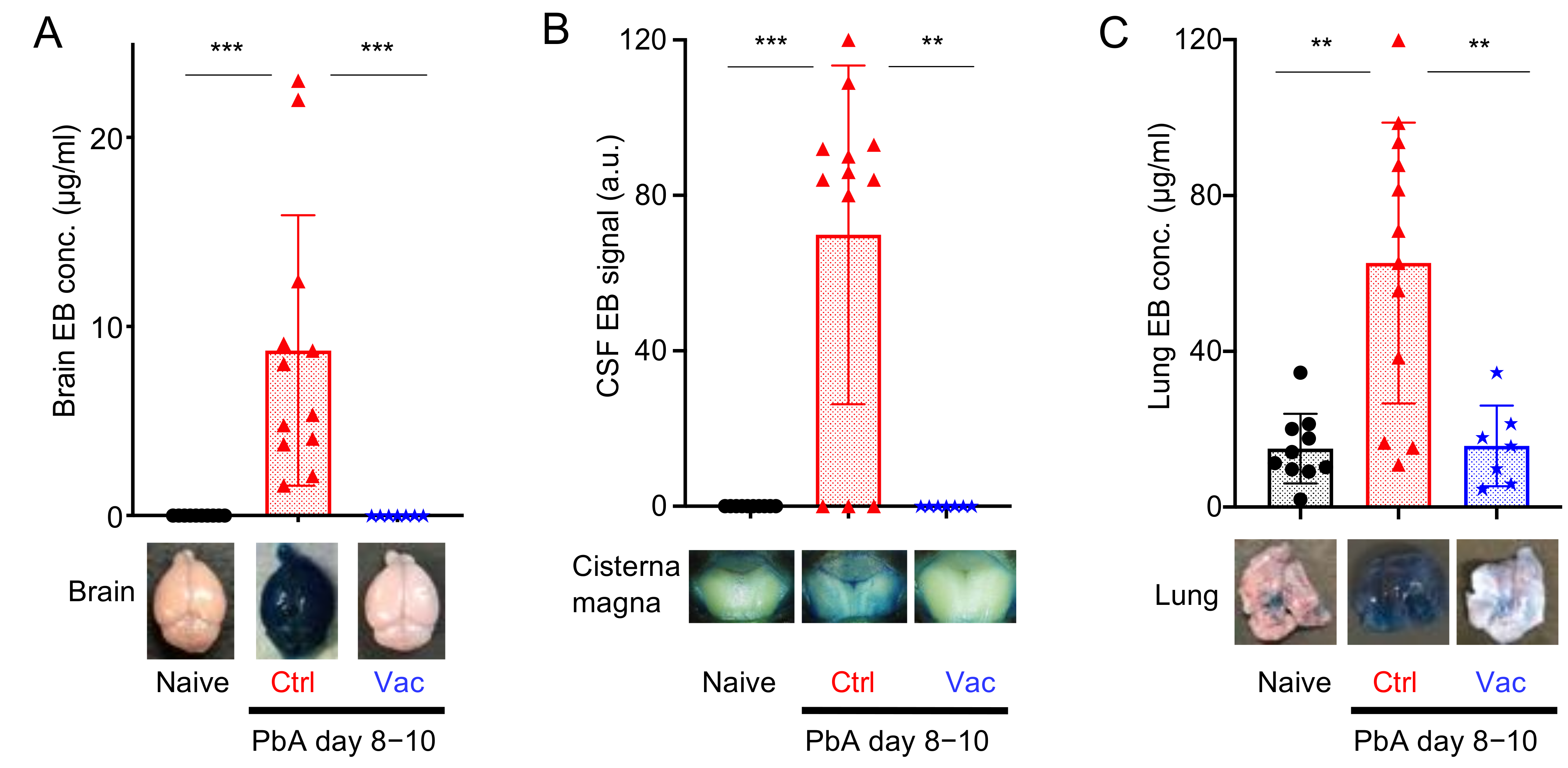Vaccines 10 00762 g004 Vaccines 10 00762 g004