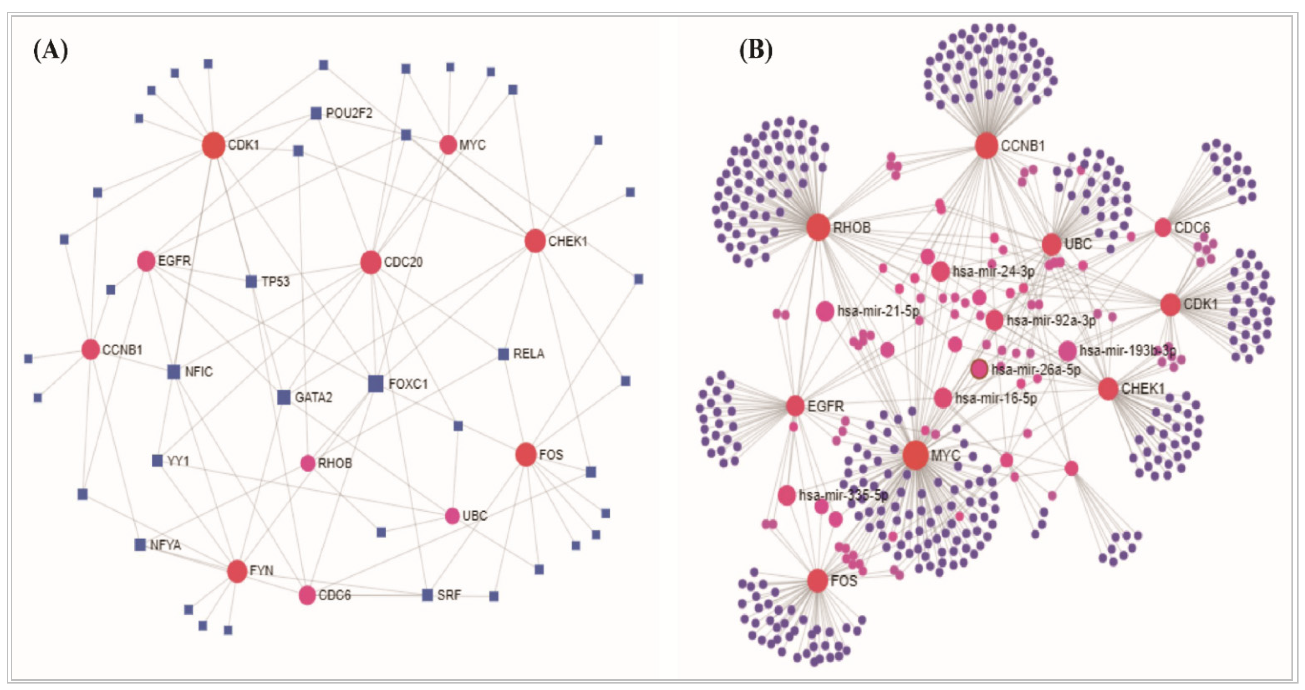 Vaccines 10 00771 g007