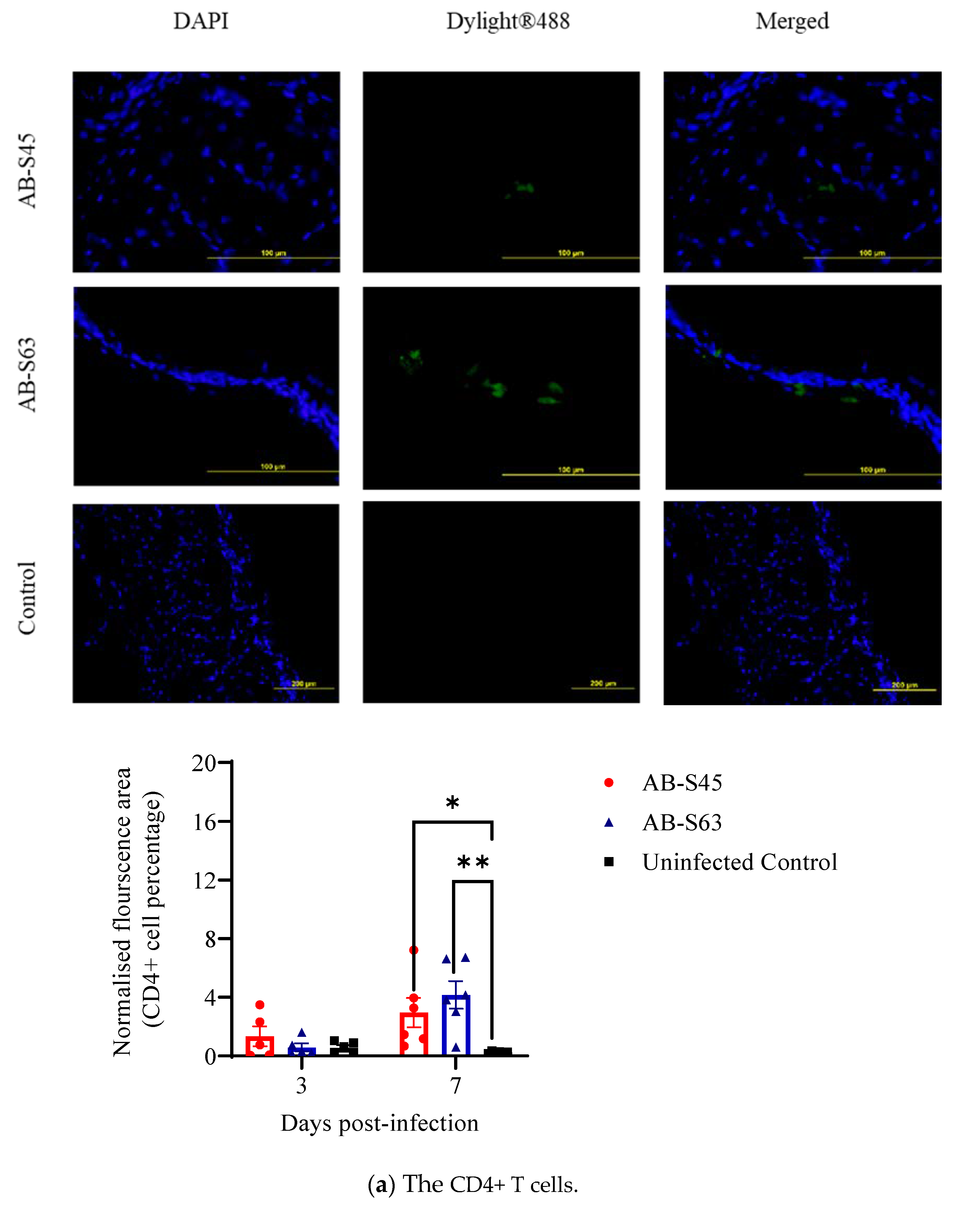Vaccines 10 00782 g003a