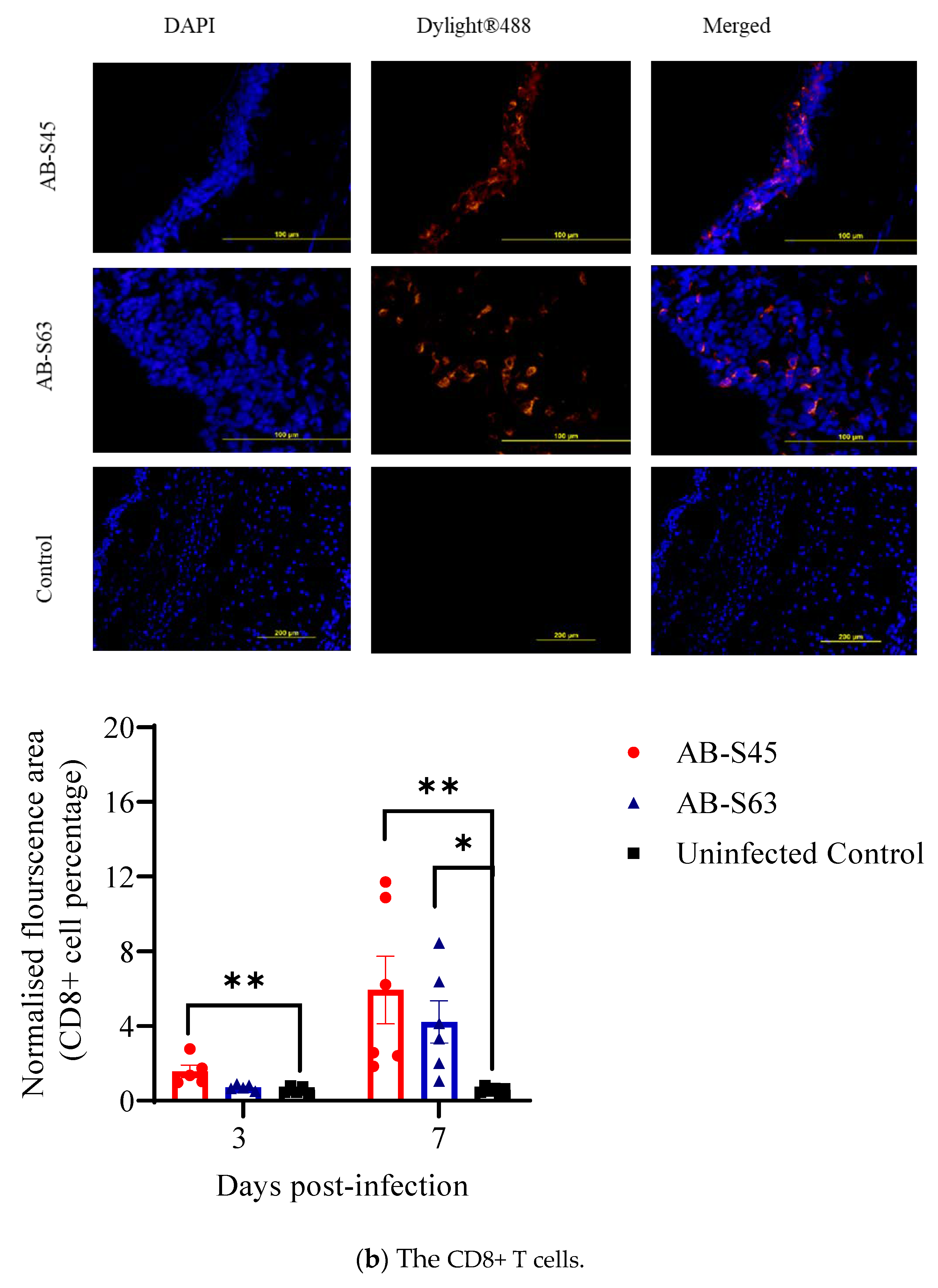 Vaccines 10 00782 g003b