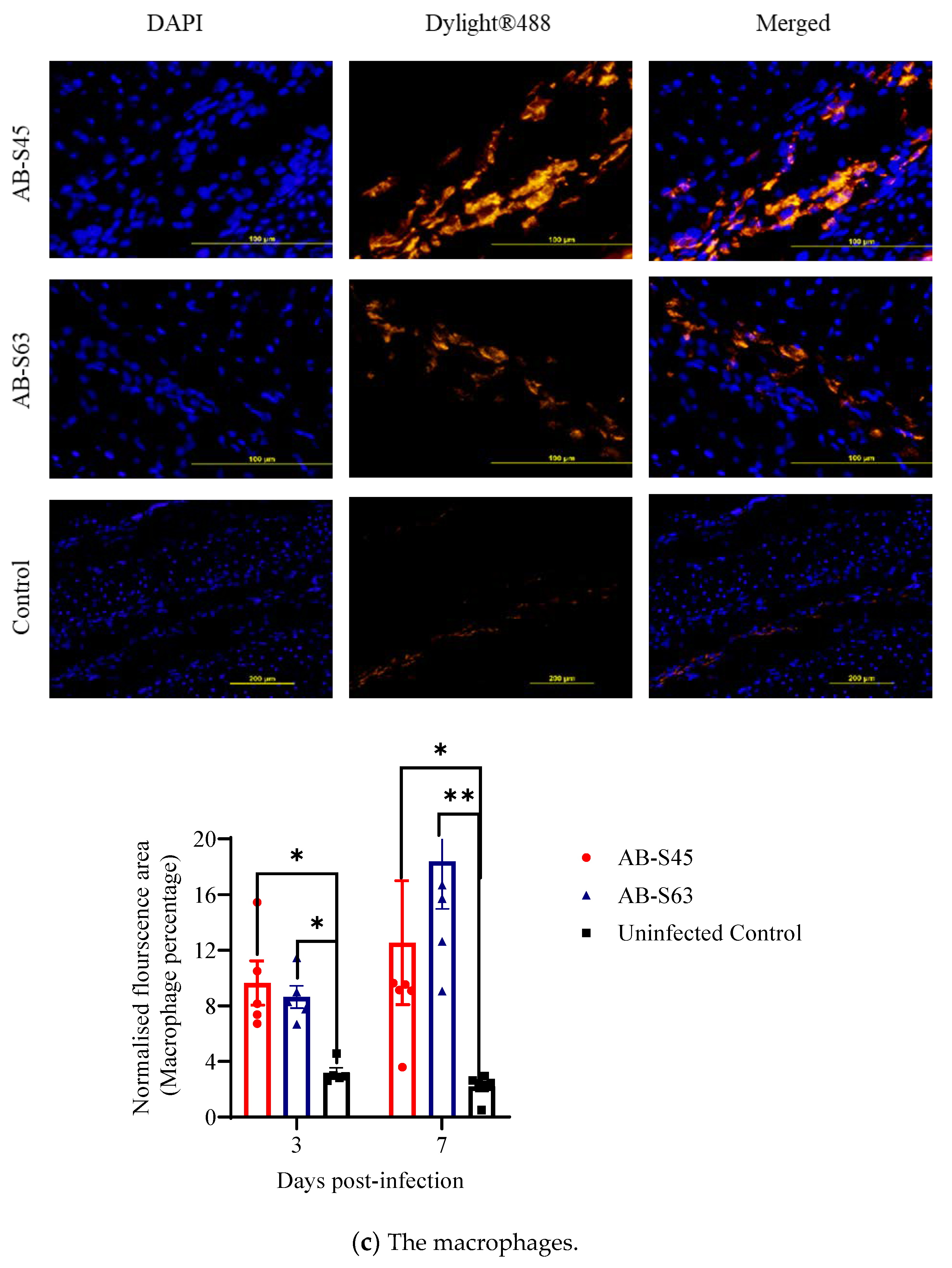 Vaccines 10 00782 g003c