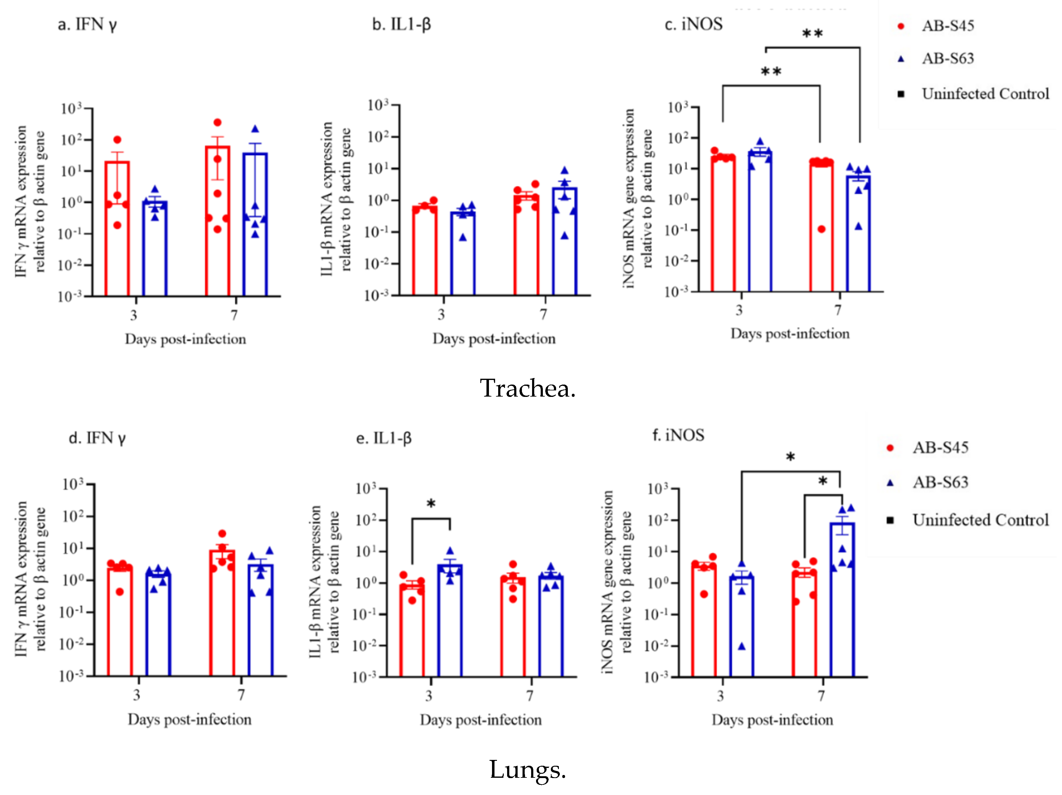 Vaccines 10 00782 g005