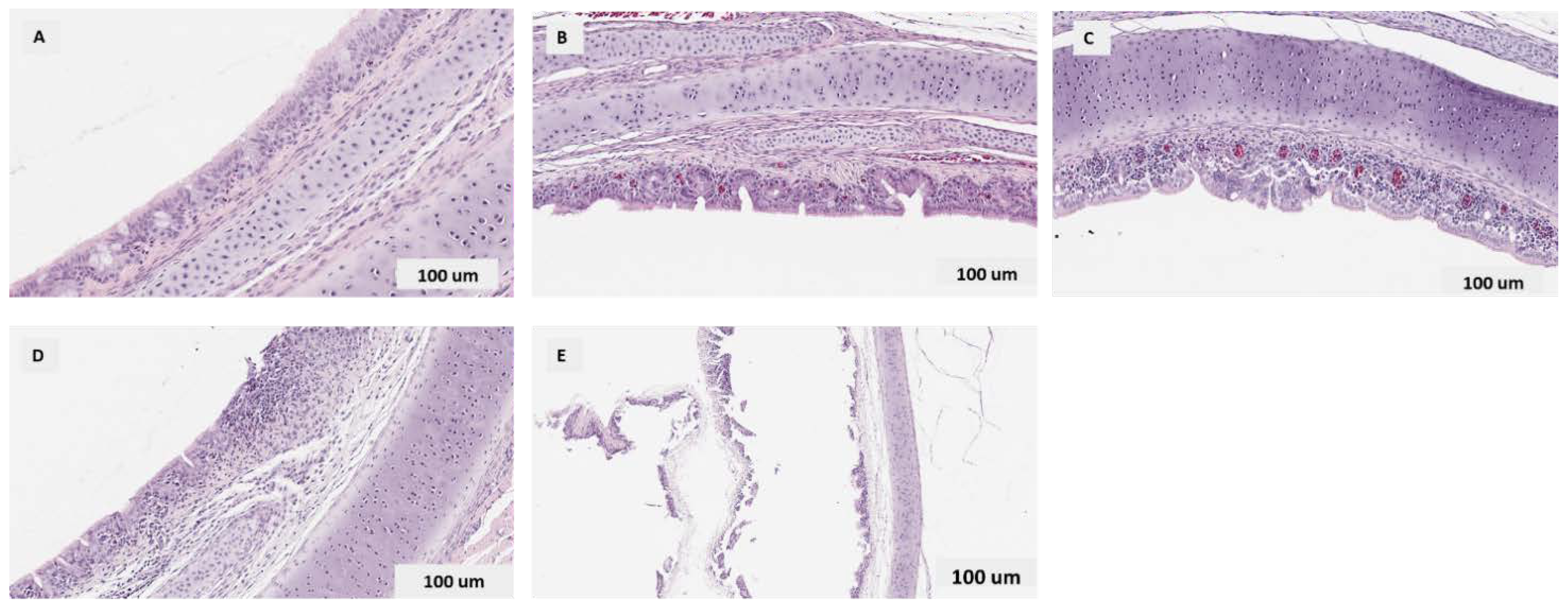 Vaccines 10 00782 g006