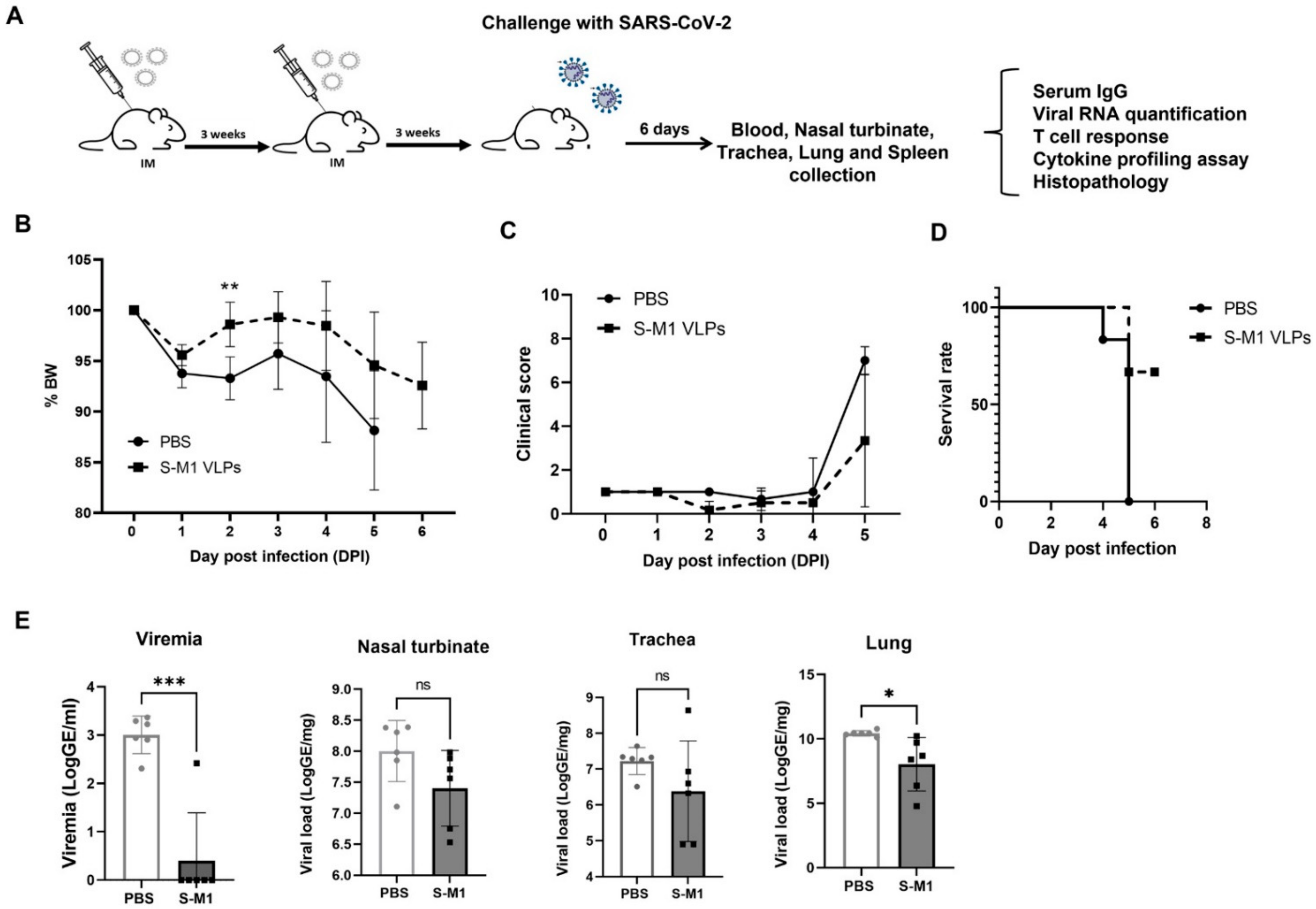 Vaccines 10 00786 g005 550
