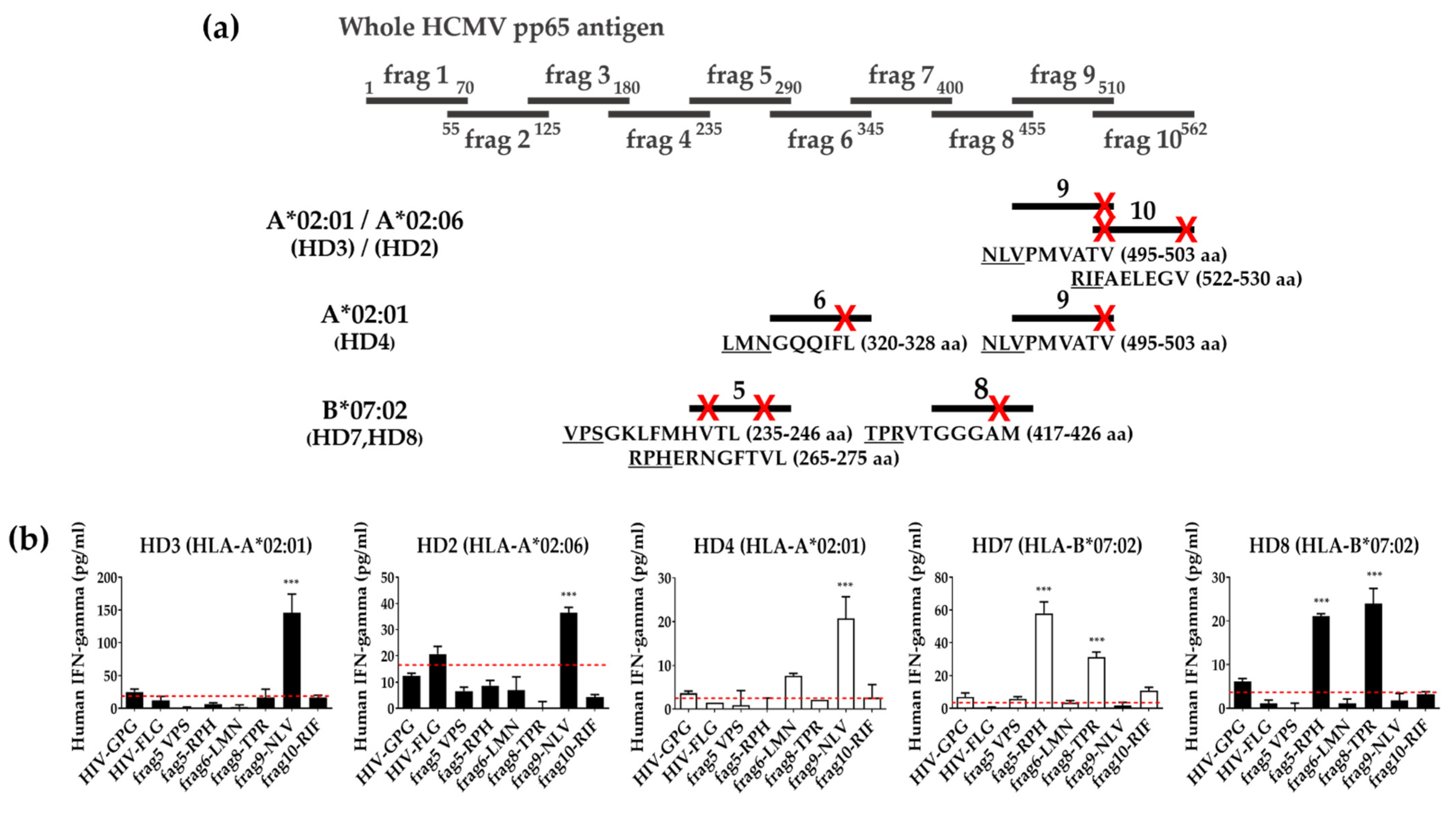 Vaccines 10 00787 g006 Vaccines 10 00787 g006