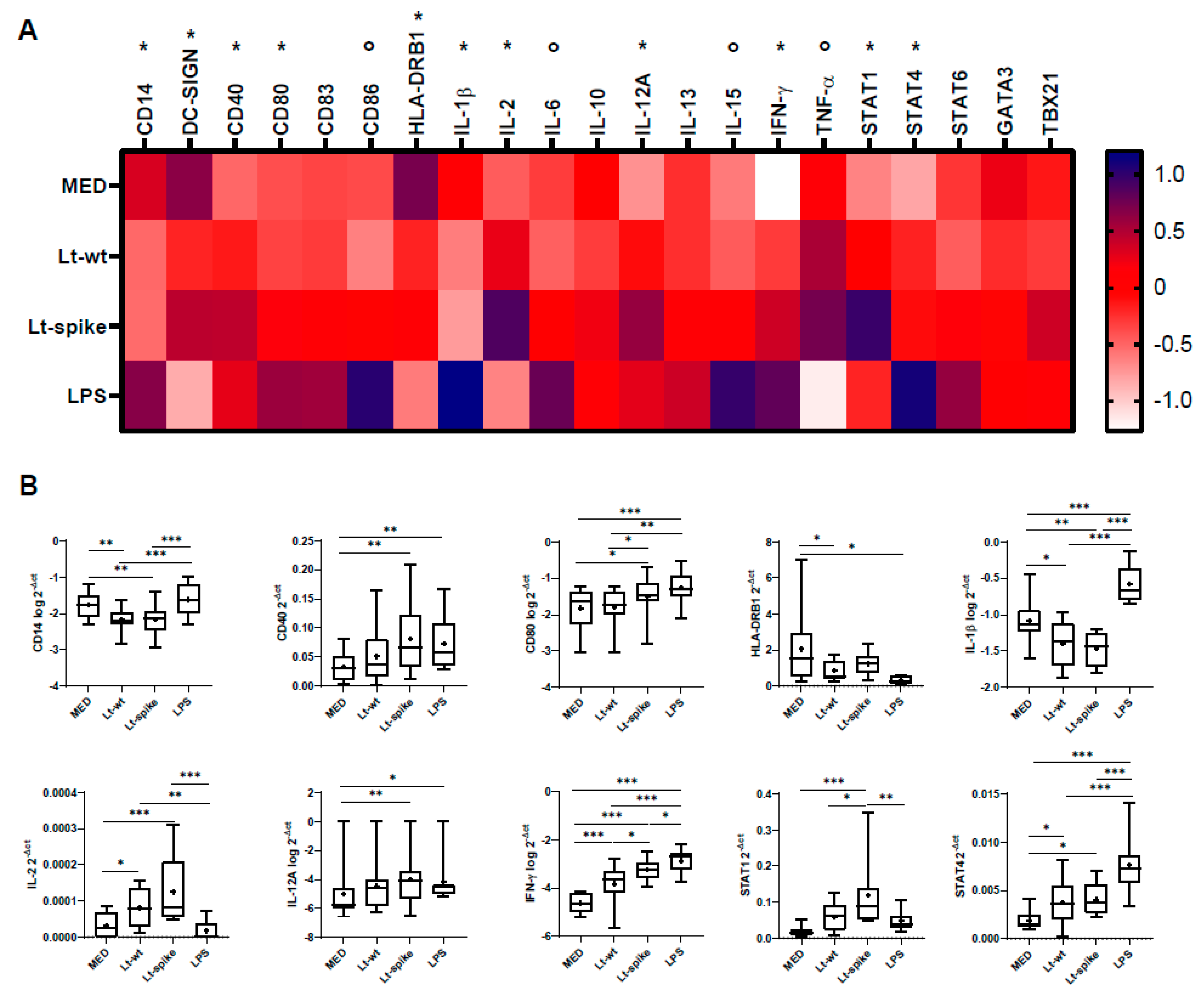 Vaccines 10 00803 g007