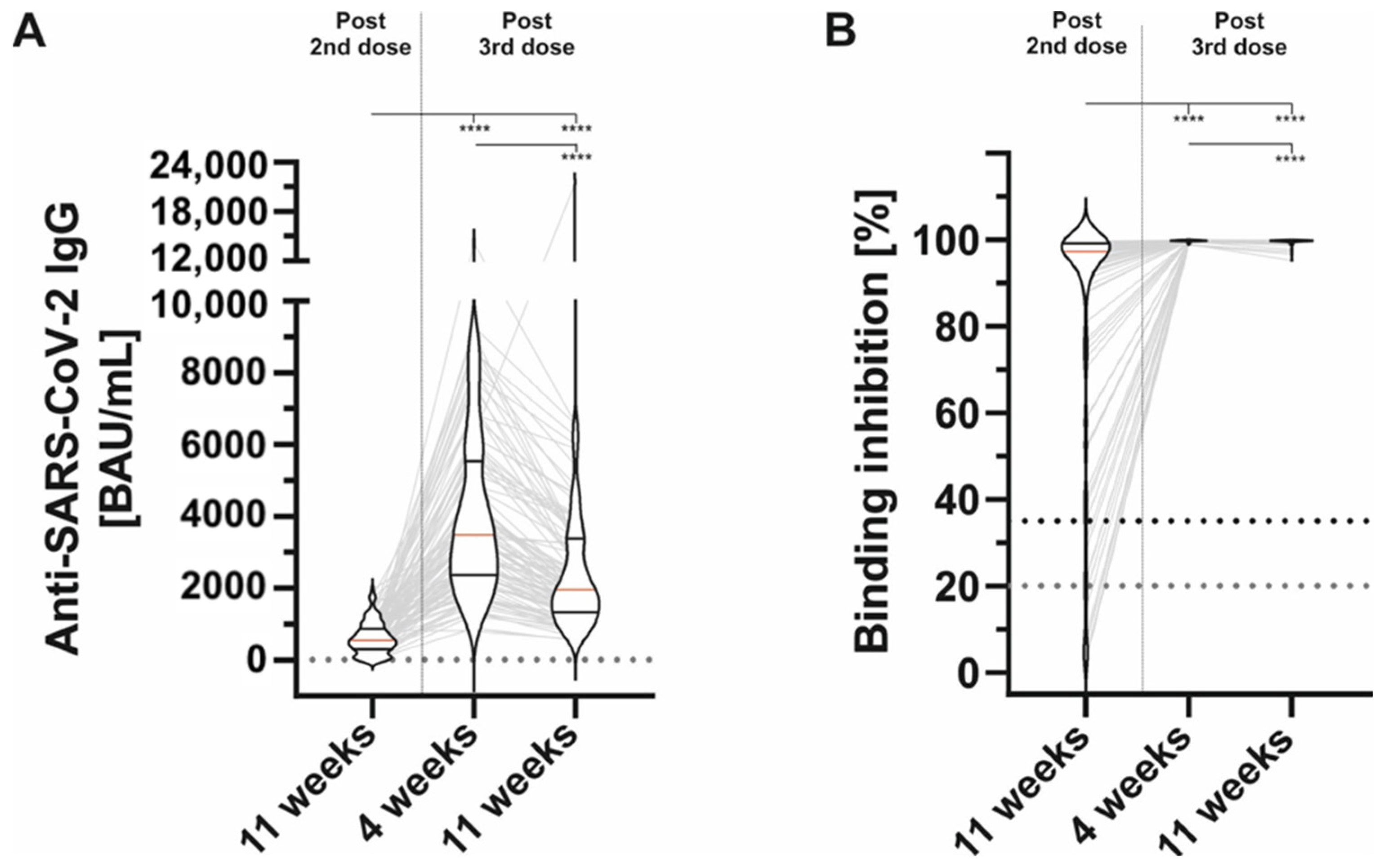 Vaccines 10 00805 g001
