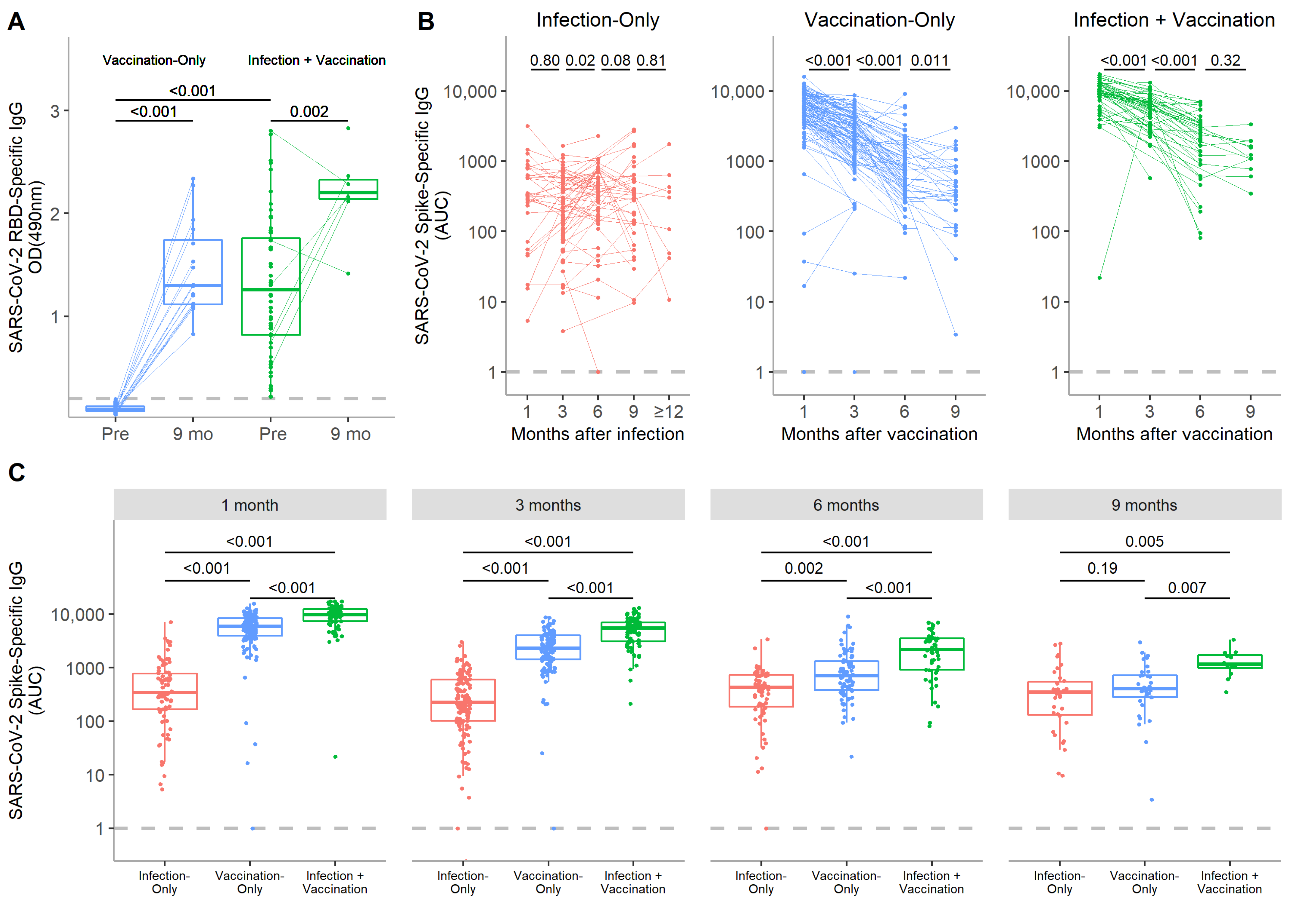 Vaccines 10 00813 g001