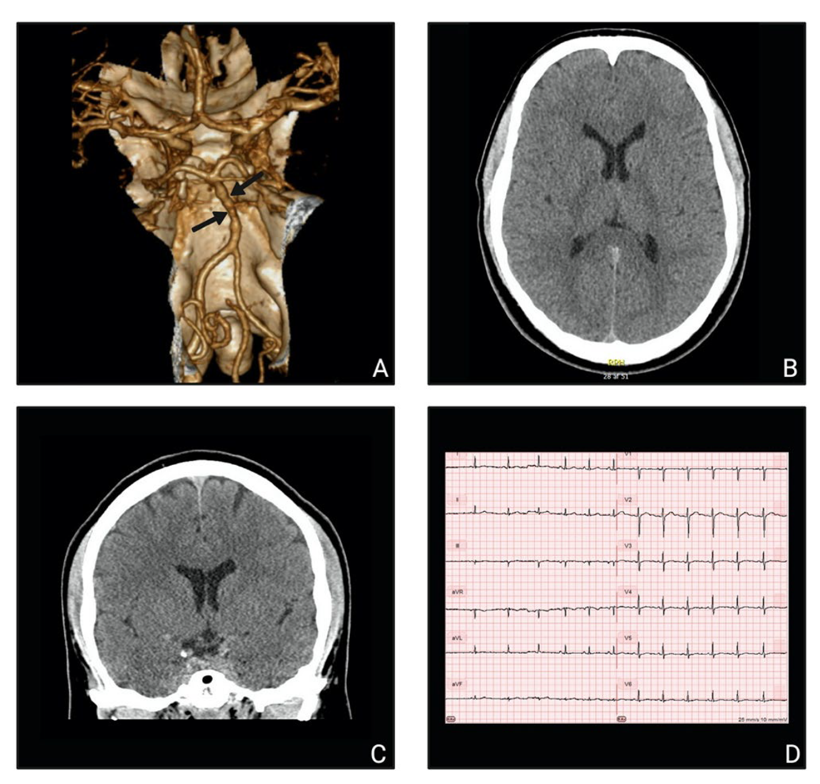 Vaccines 10 00823 g001