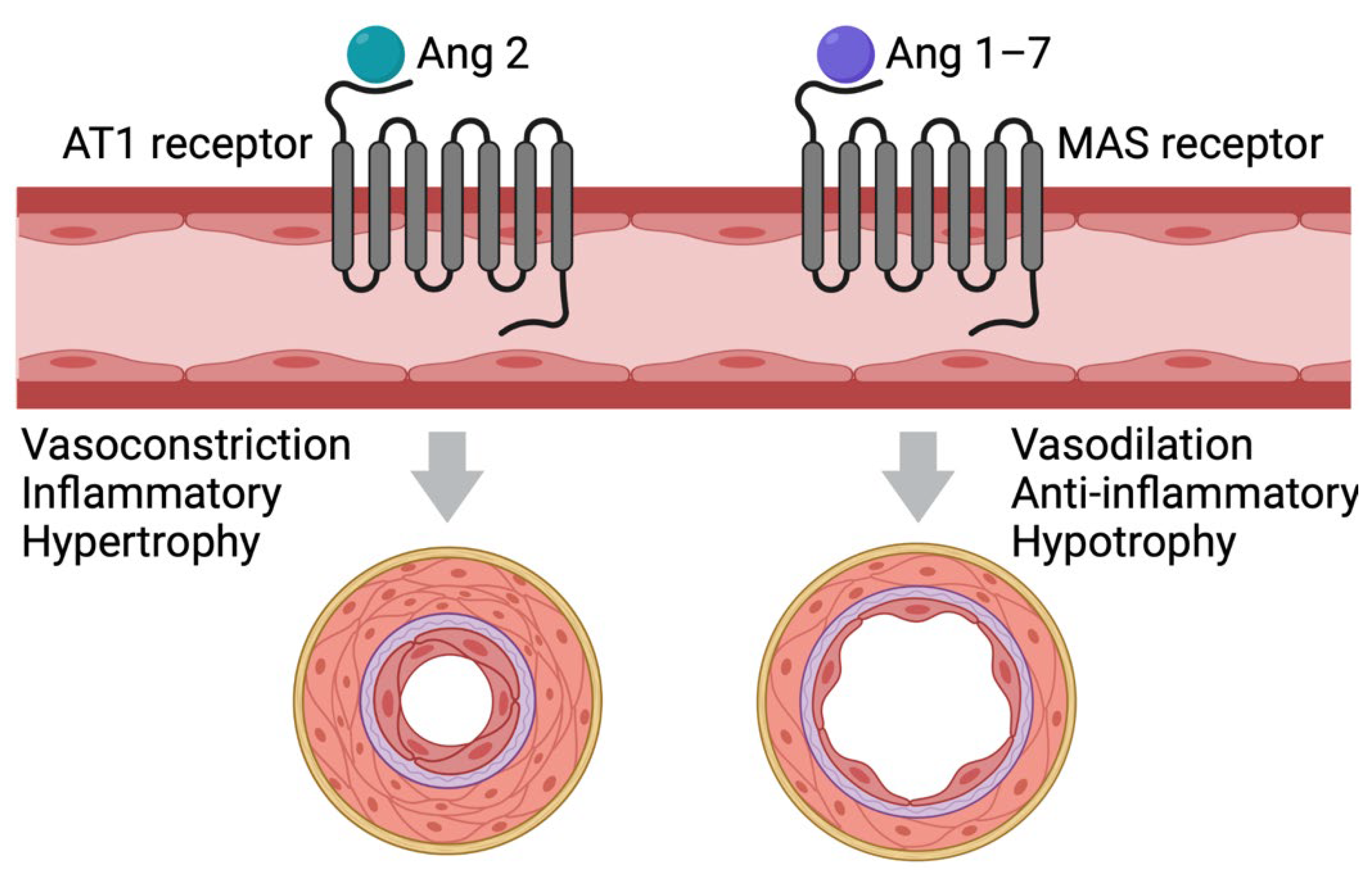 Vaccines 10 00823 g002