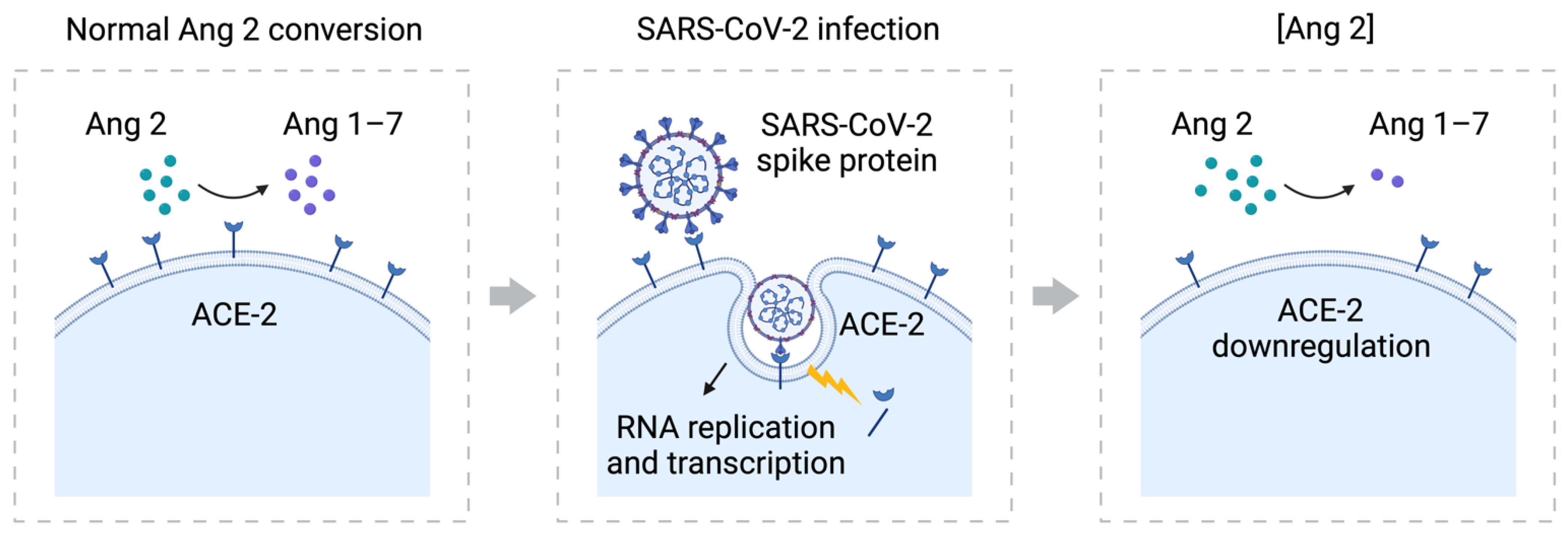 Vaccines 10 00823 g003
