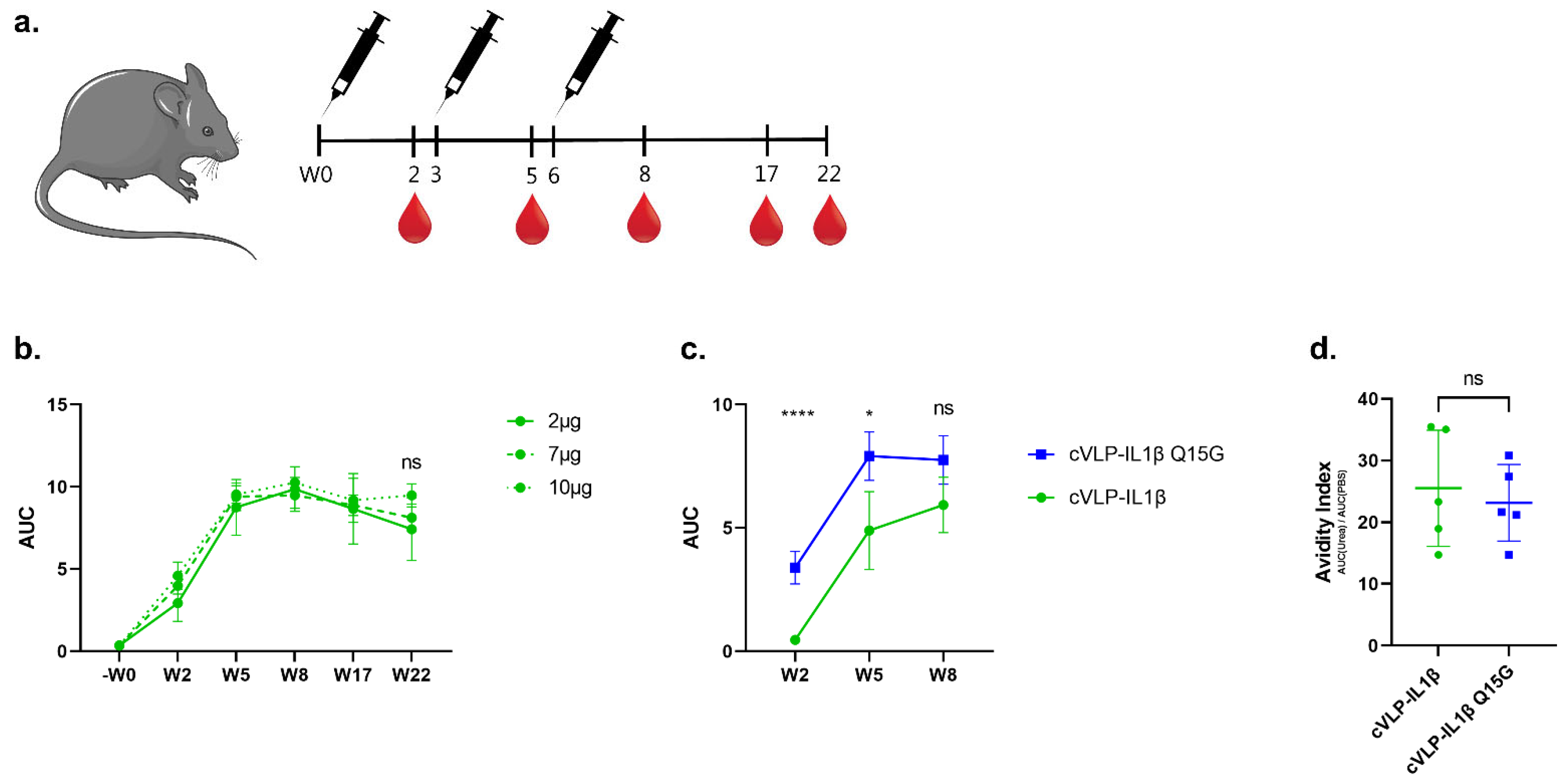 Vaccines 10 00828 g004