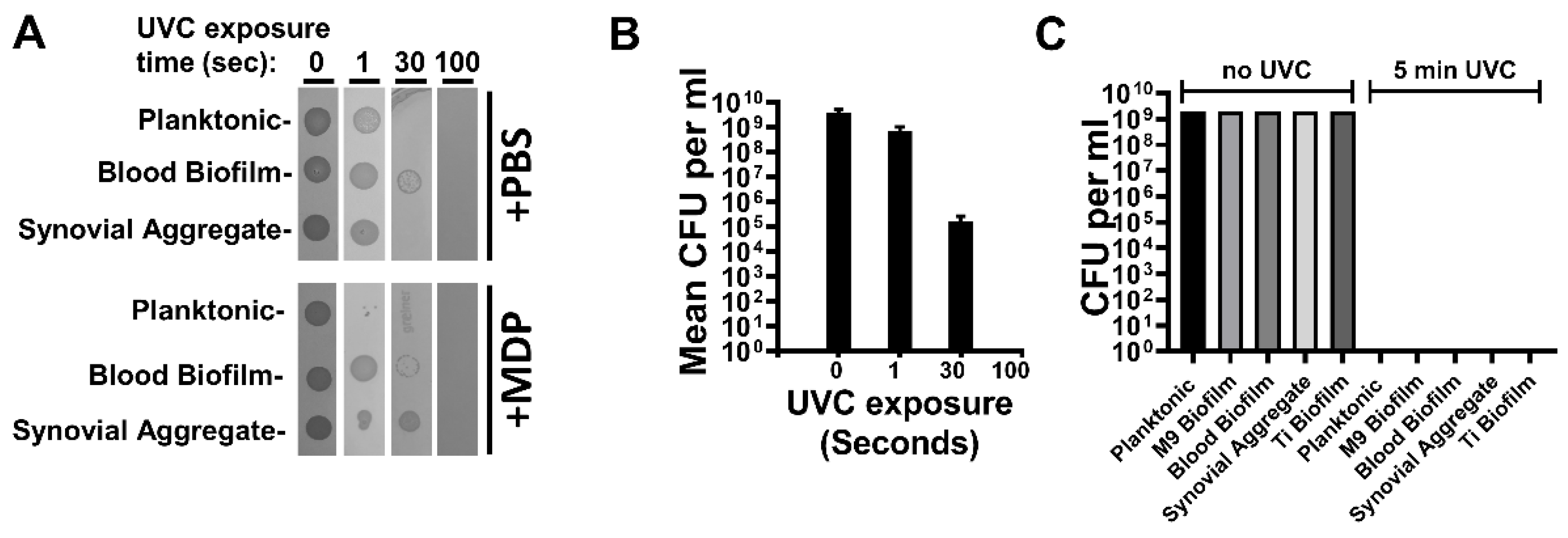 Vaccines 10 00833 g002