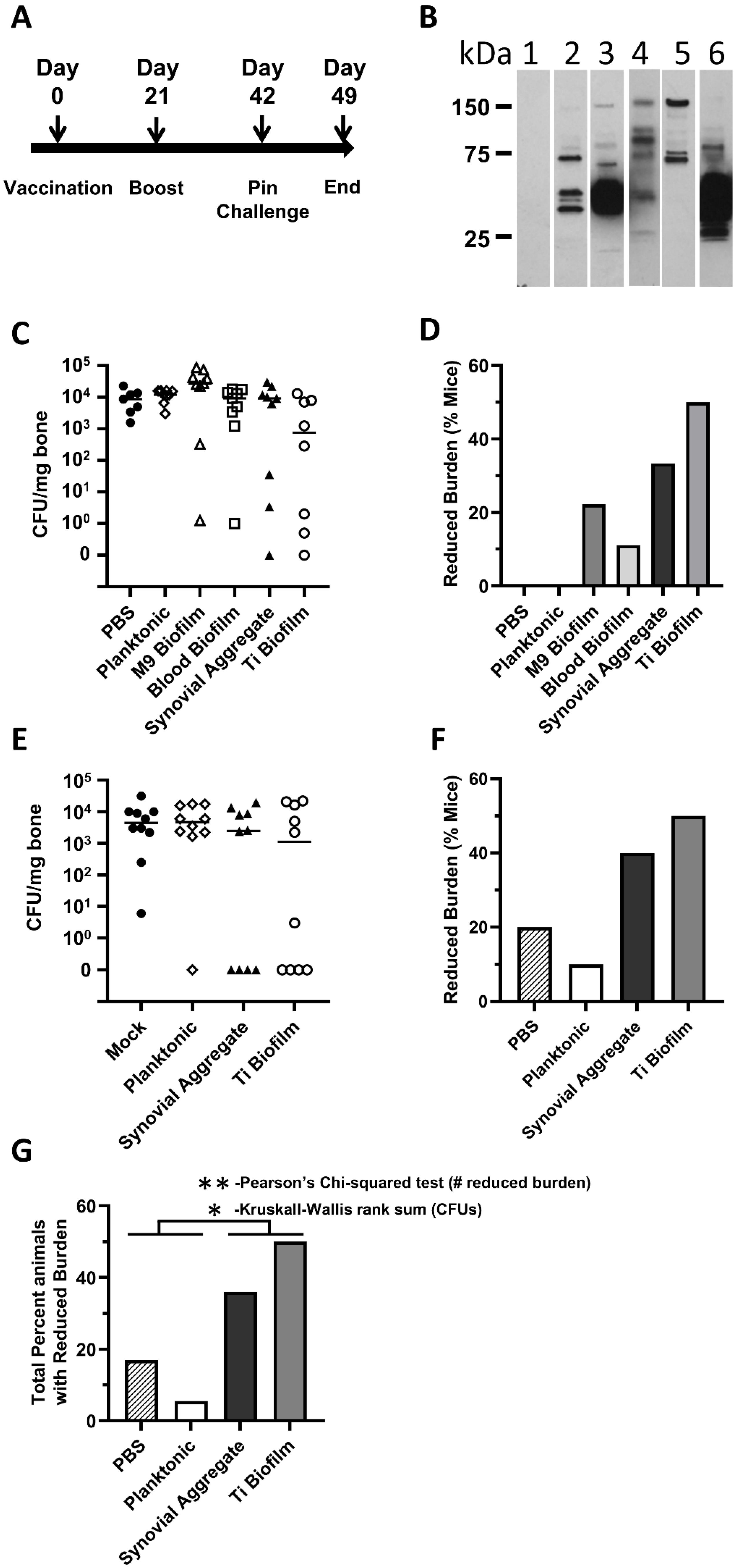 Vaccines 10 00833 g004