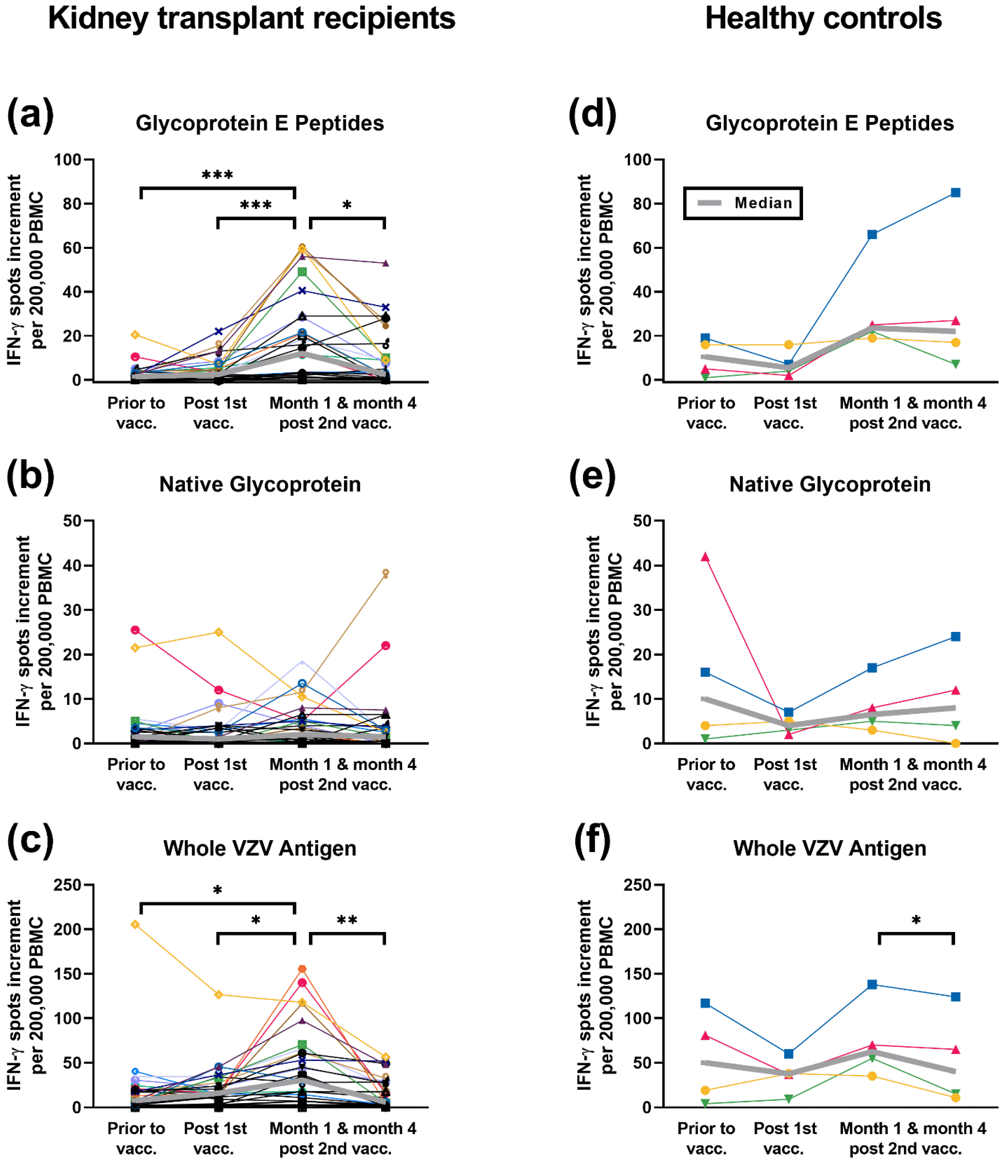 Vaccines 10 00844 g001 Vaccines 10 00844 g001