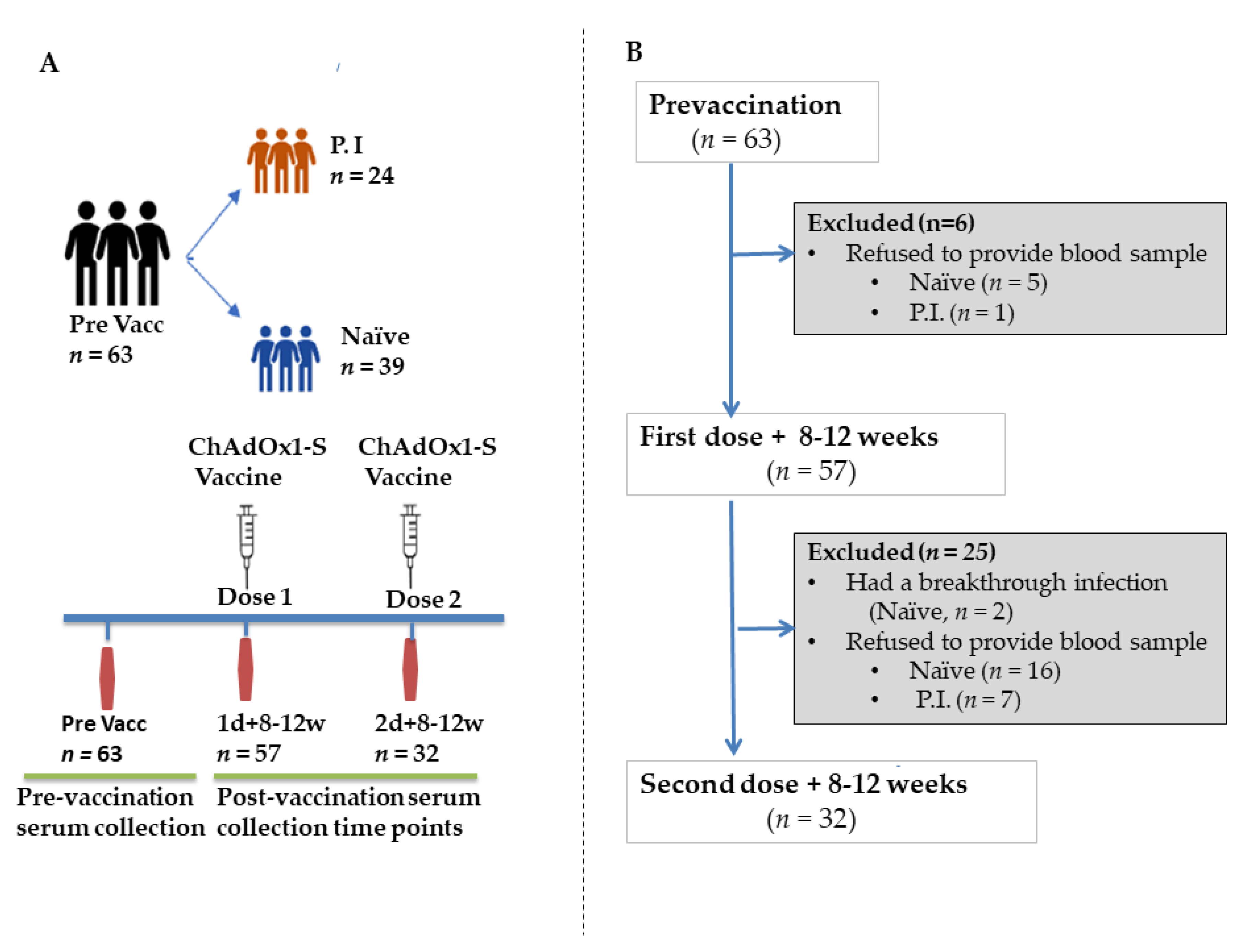 Vaccines 10 00859 g001