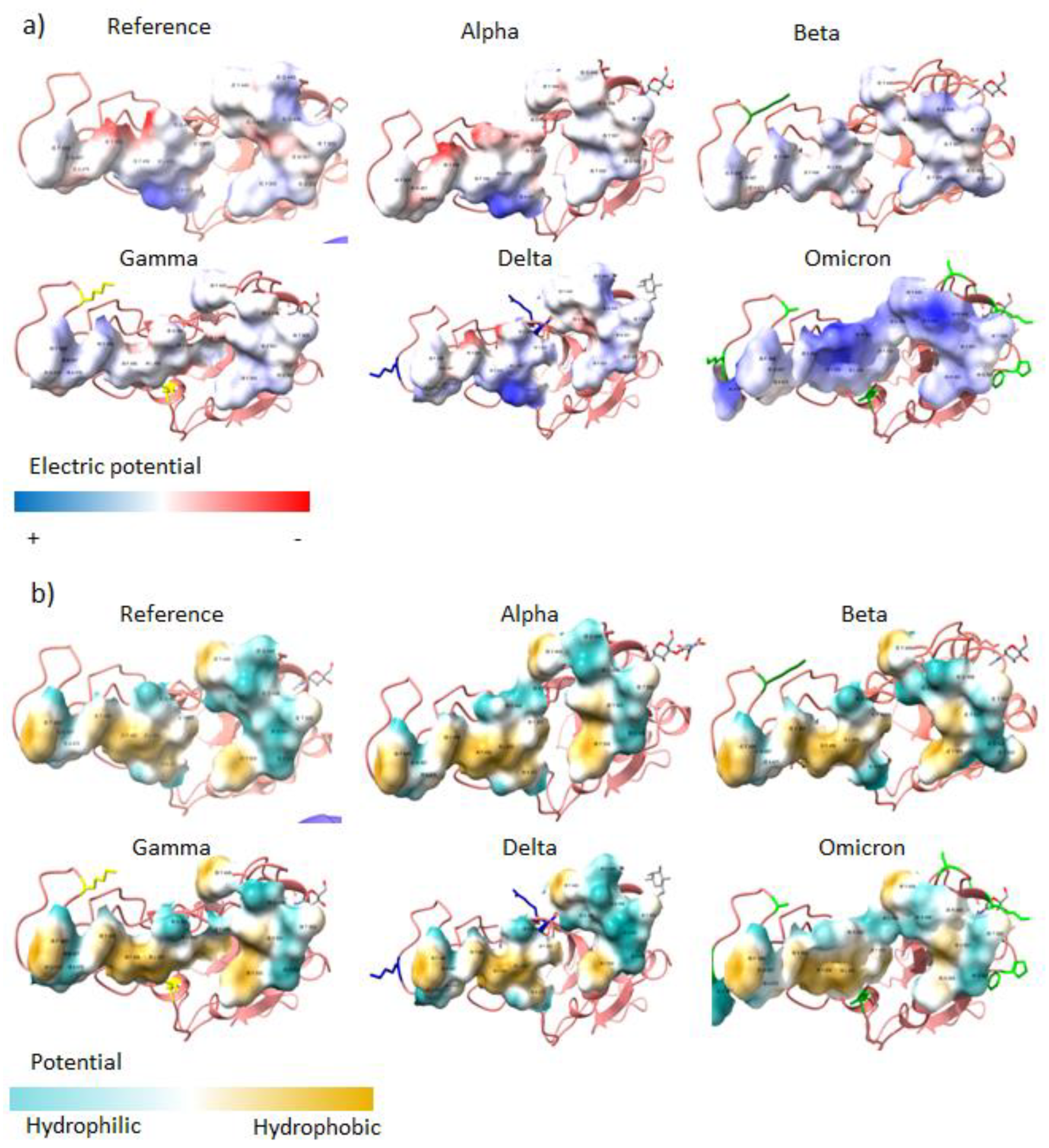 Vaccines 10 00864 g002