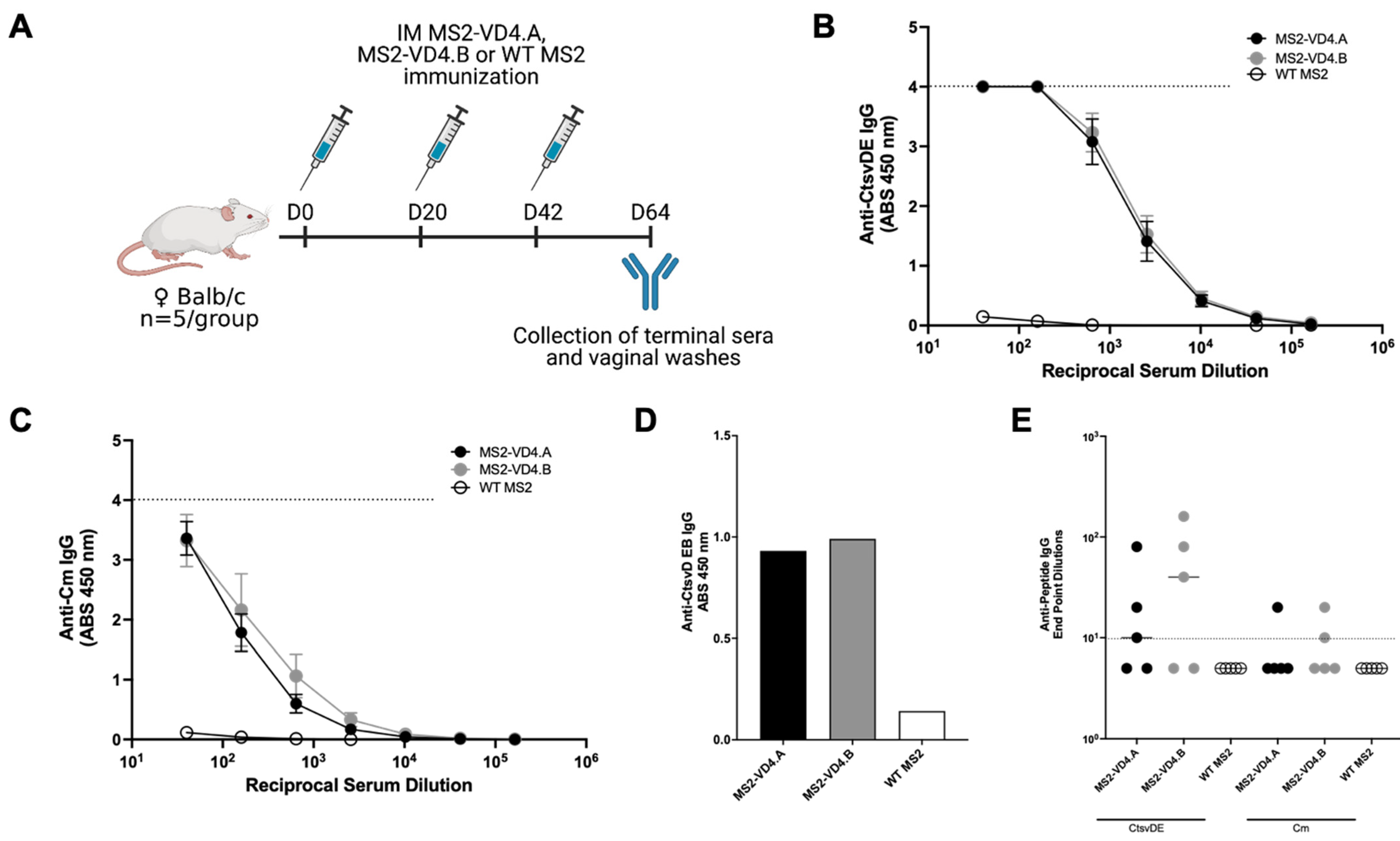 Vaccines 10 00875 g006