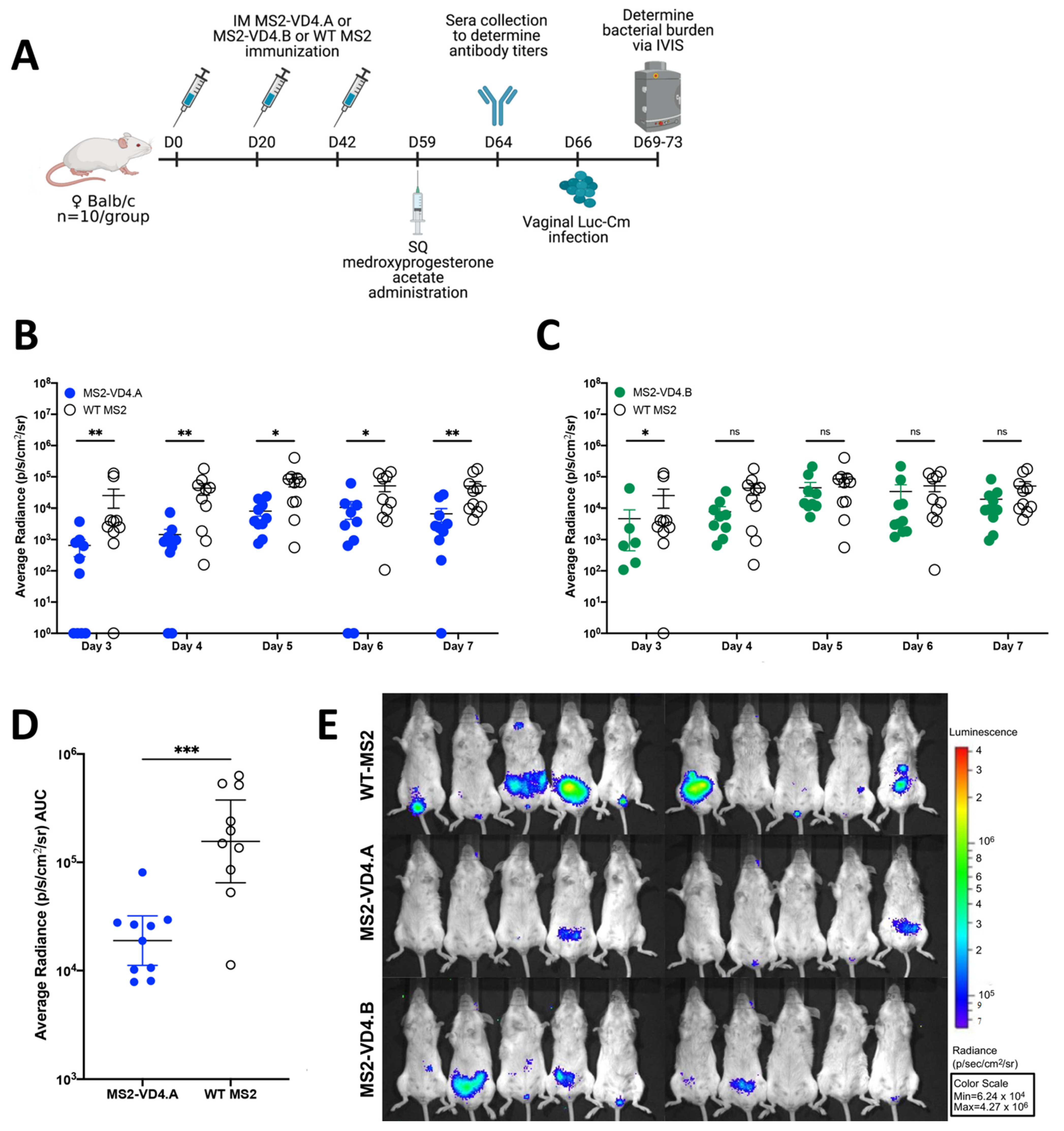 Vaccines 10 00875 g007