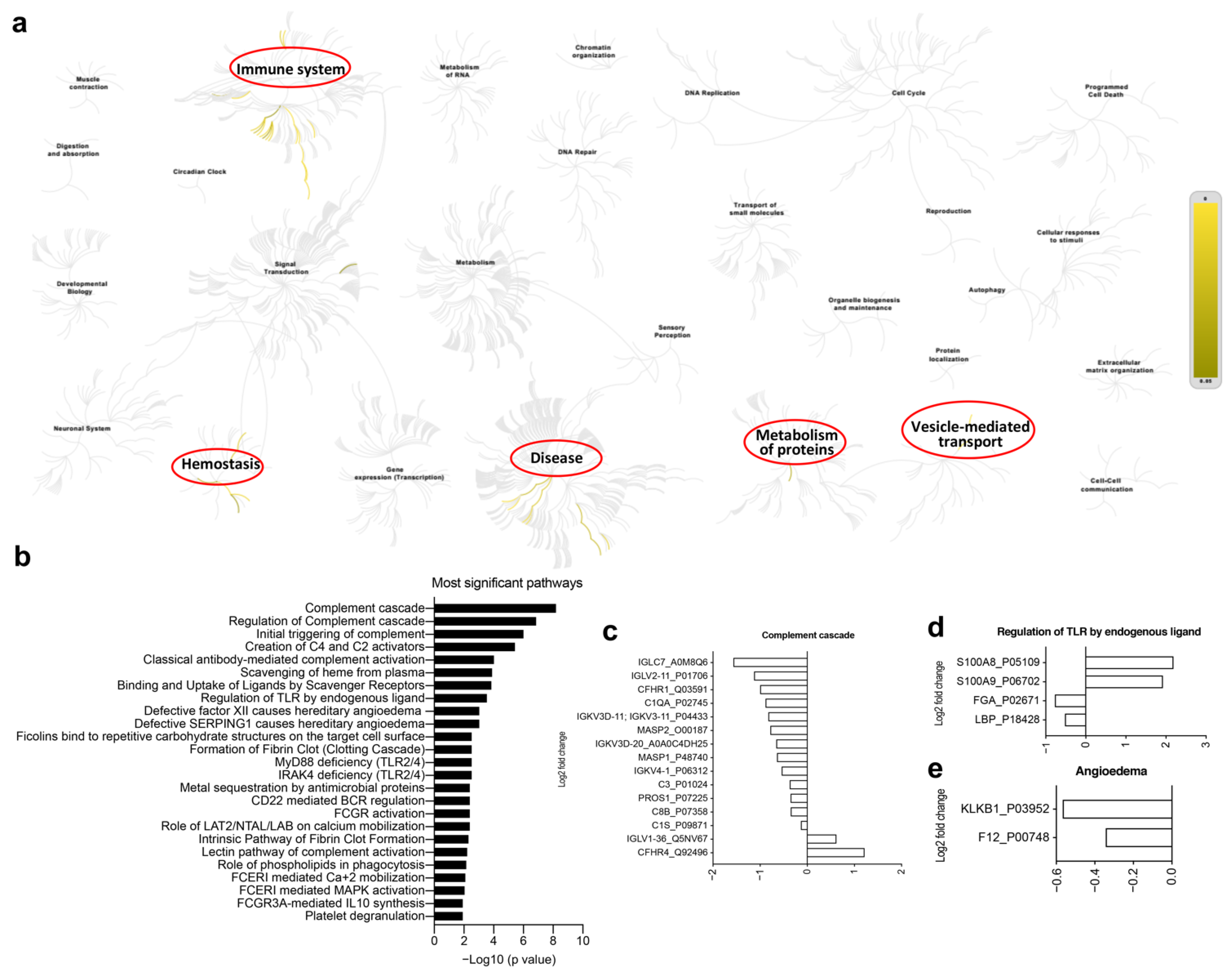 Vaccines 10 00878 g006