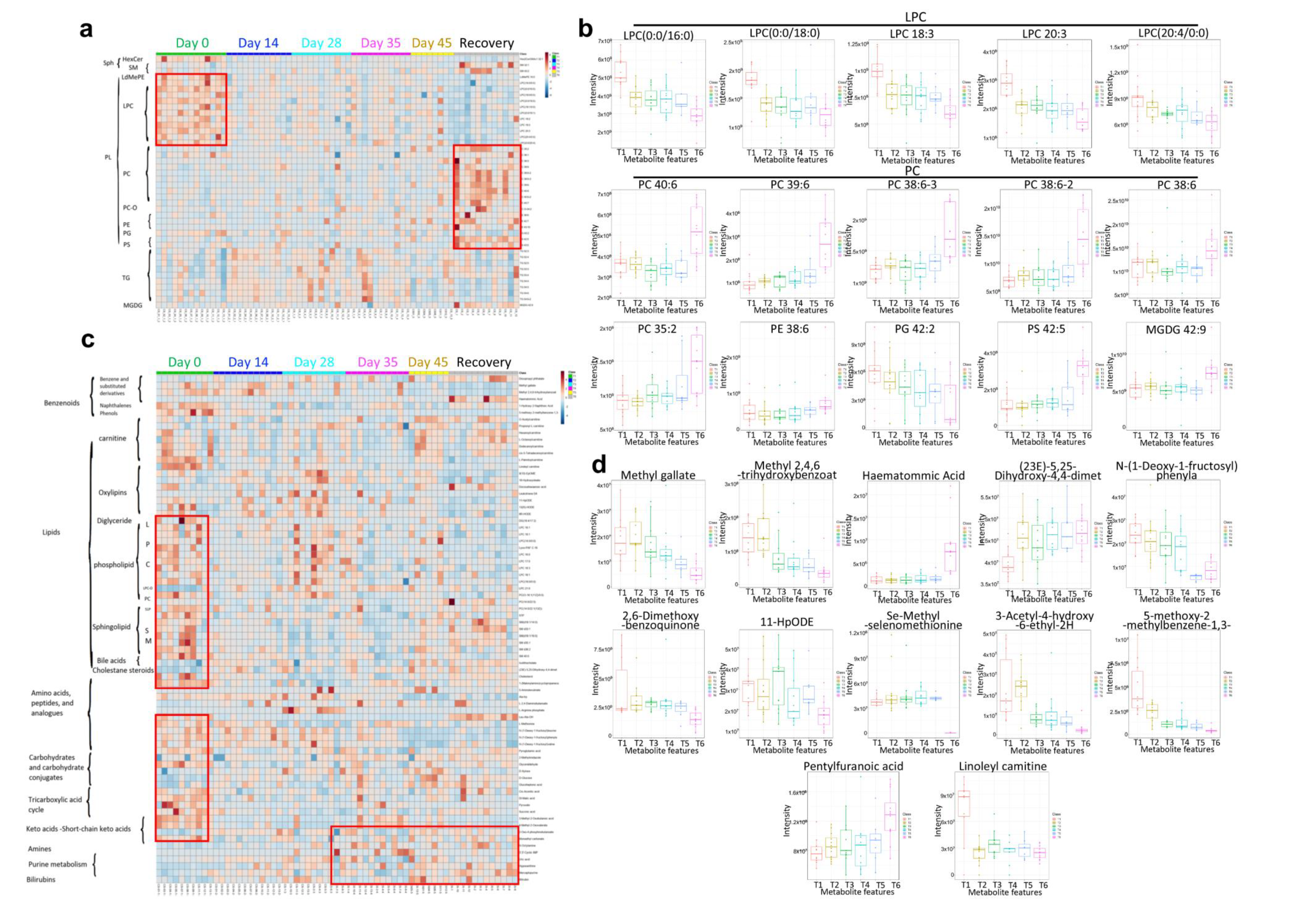 Vaccines 10 00878 g007