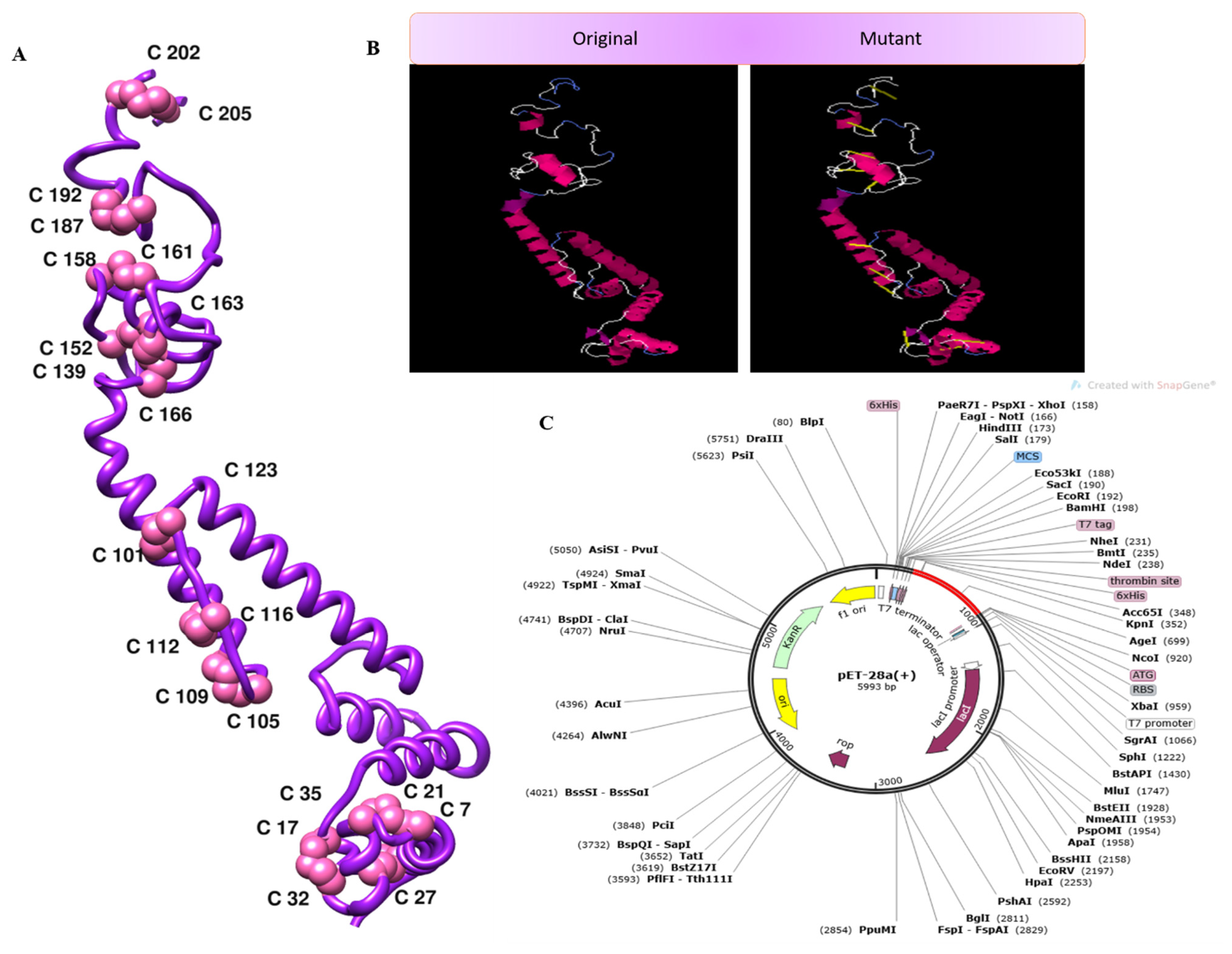 Vaccines 10 00886 g008