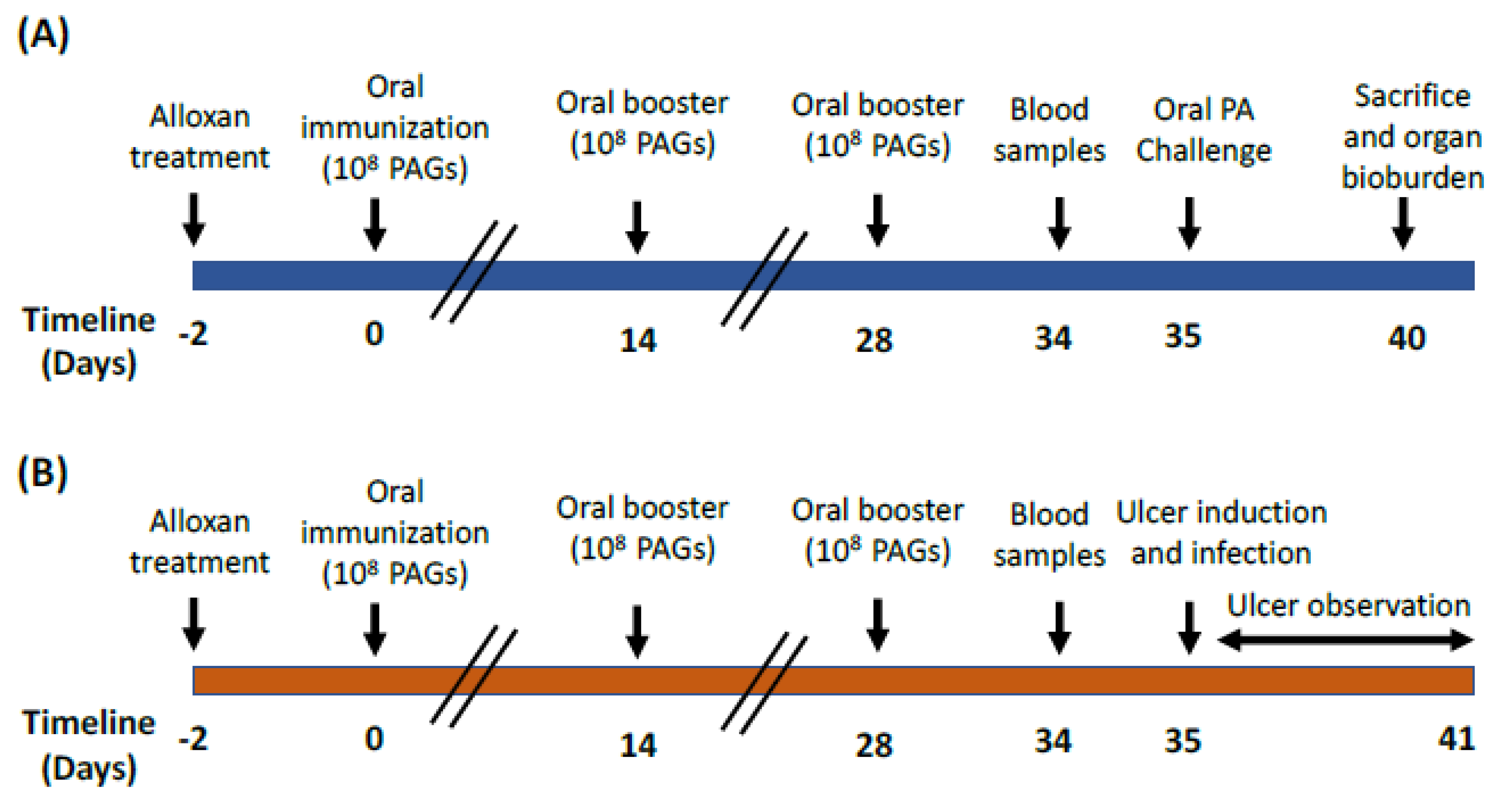 Vaccines 10 00910 g001