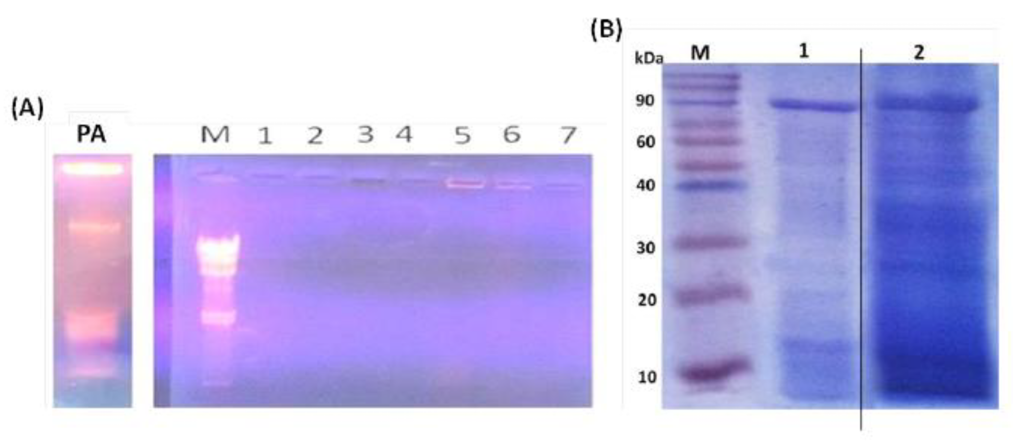 Vaccines 10 00910 g002