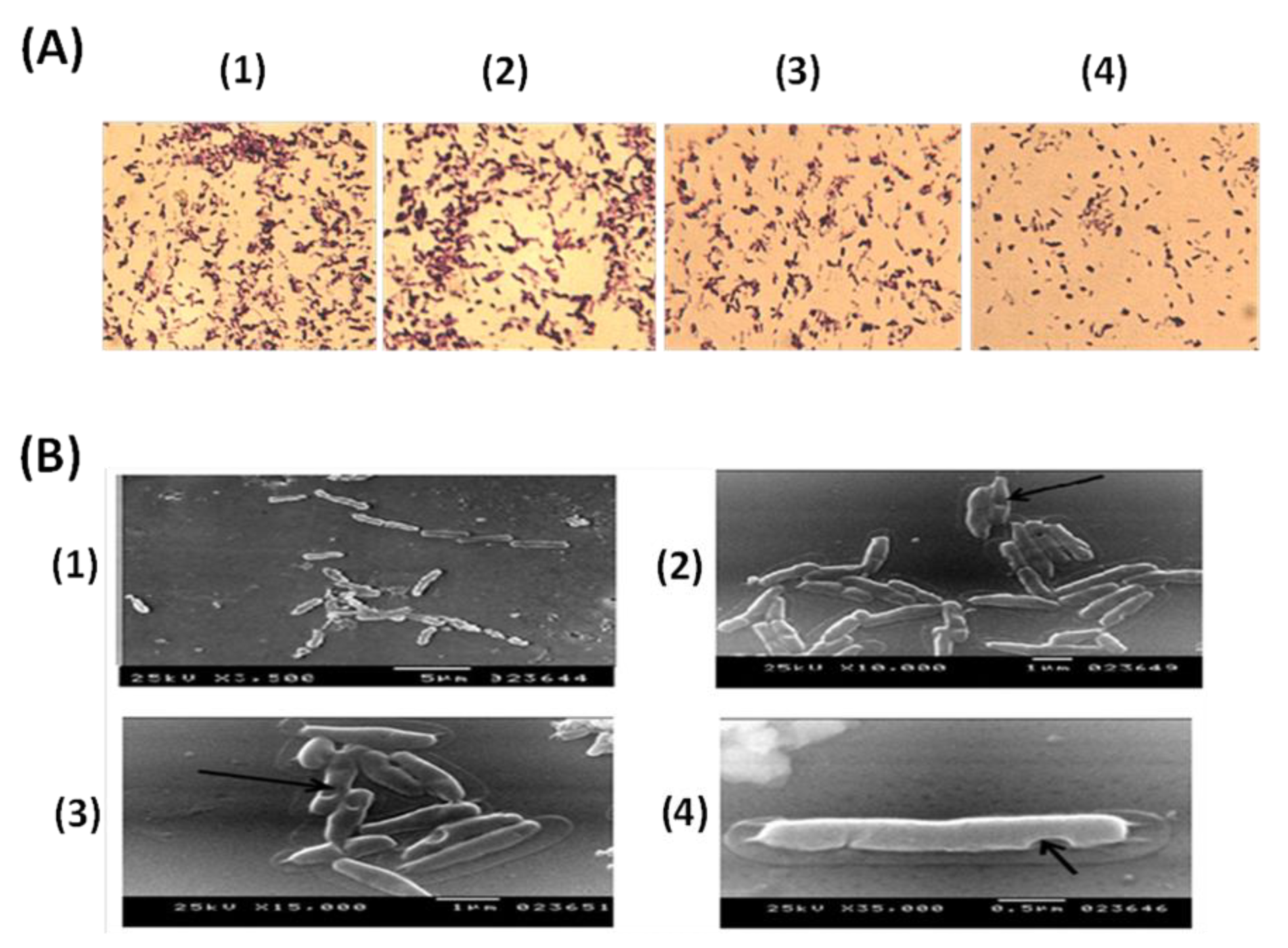 Vaccines 10 00910 g003