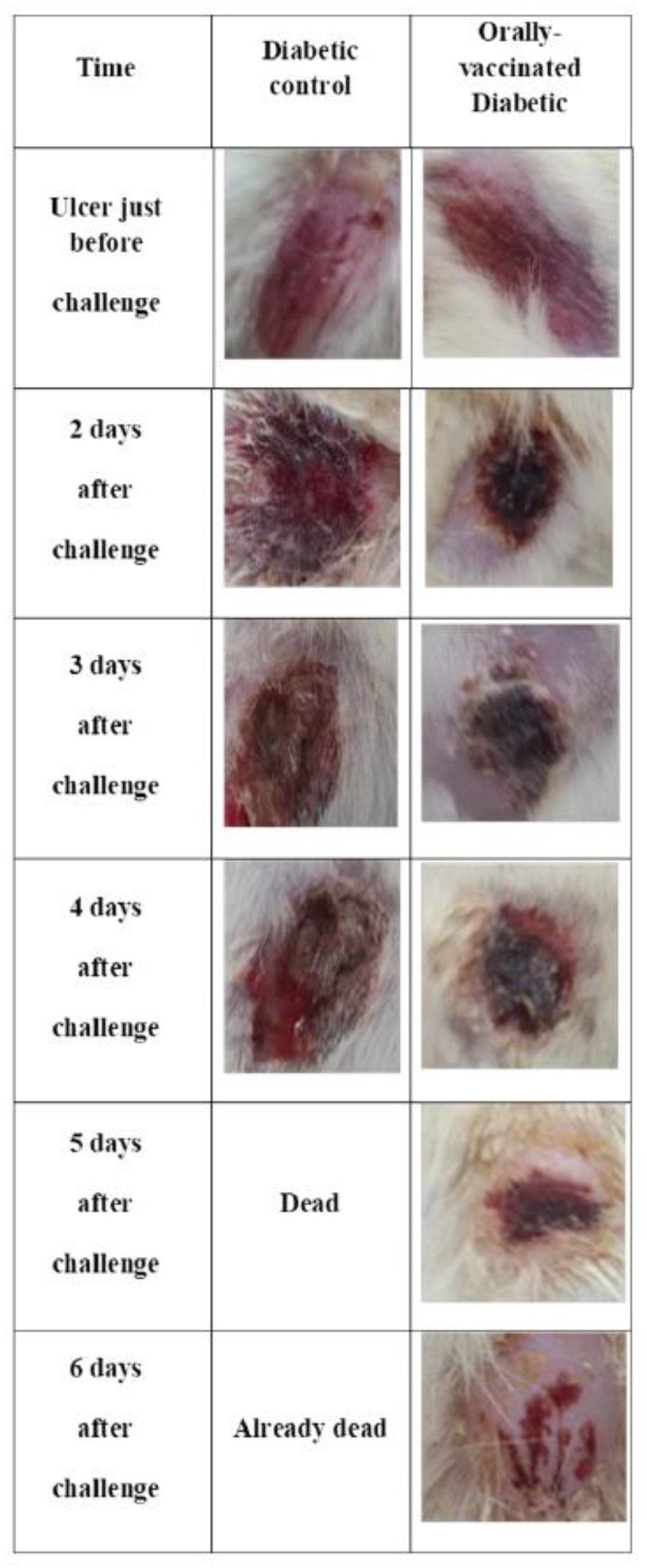 Vaccines 10 00910 g007