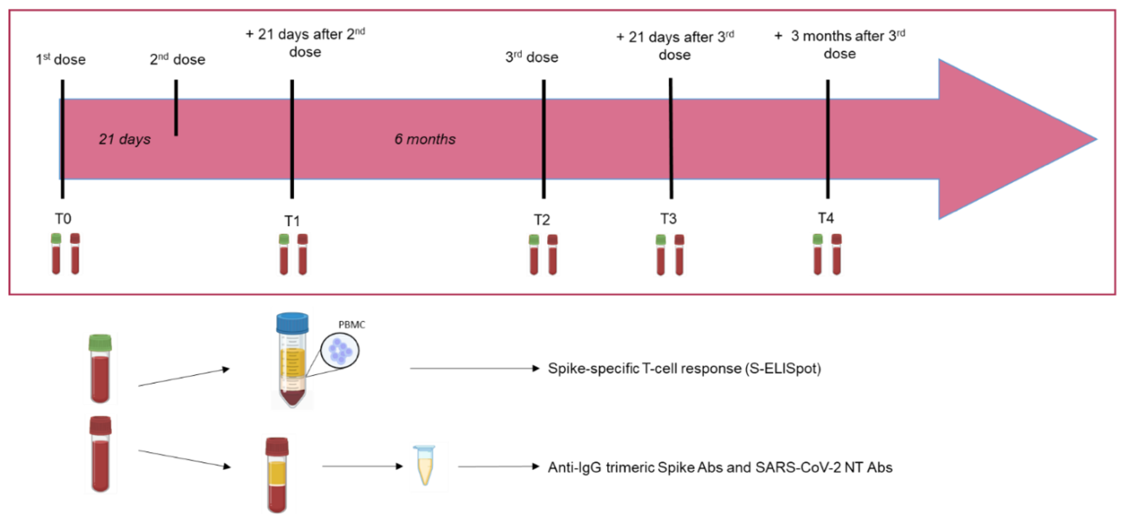 Vaccines 10 00921 g001