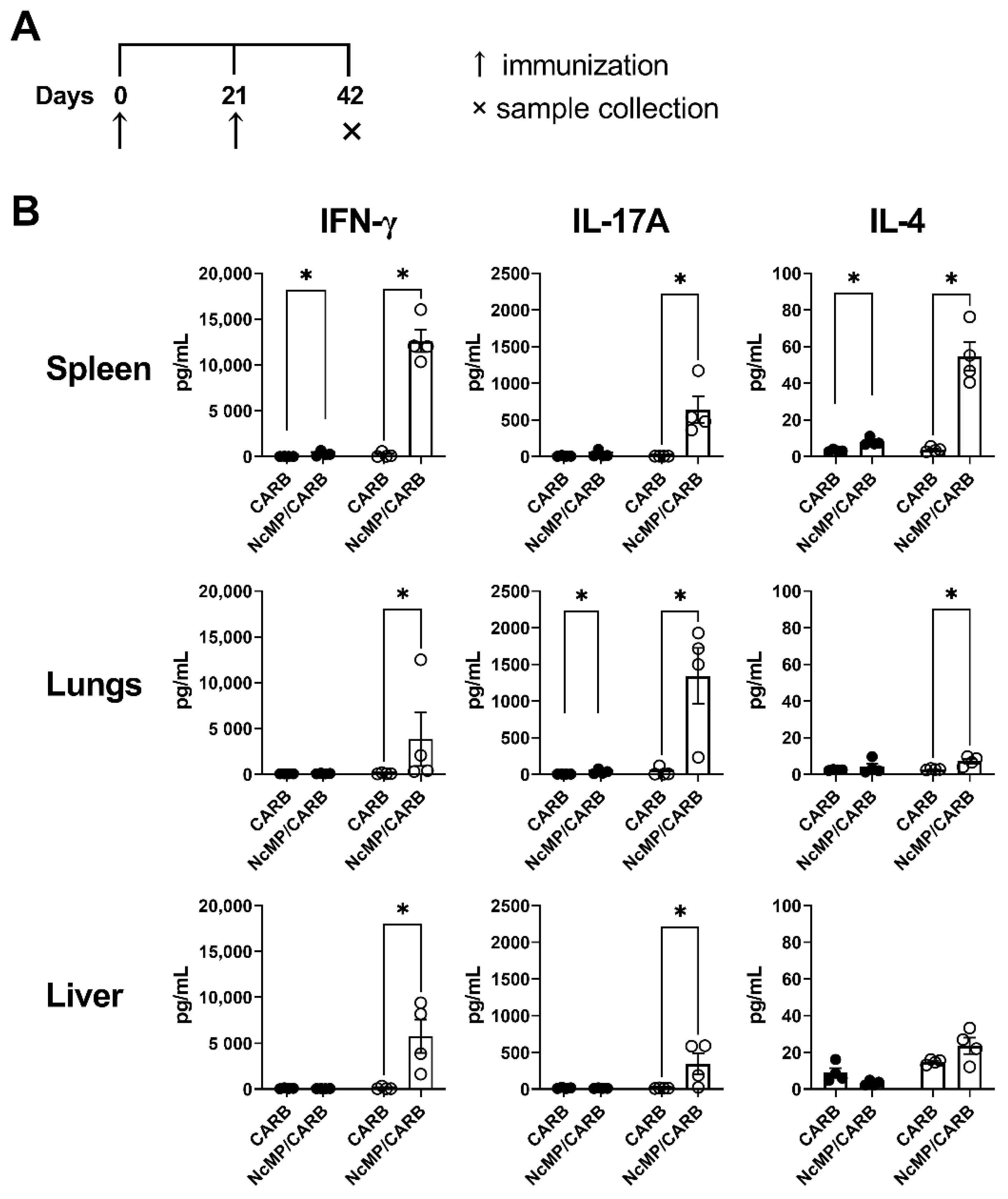 Vaccines 10 00925 g002