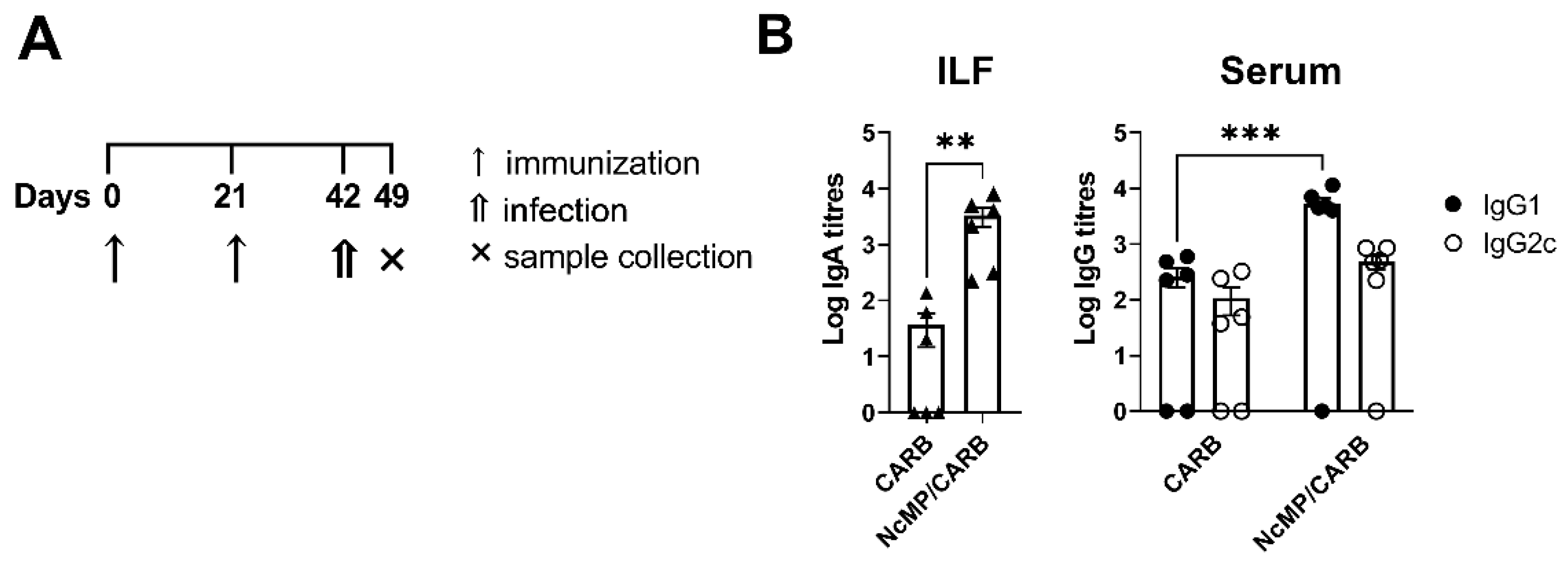 Vaccines 10 00925 g005