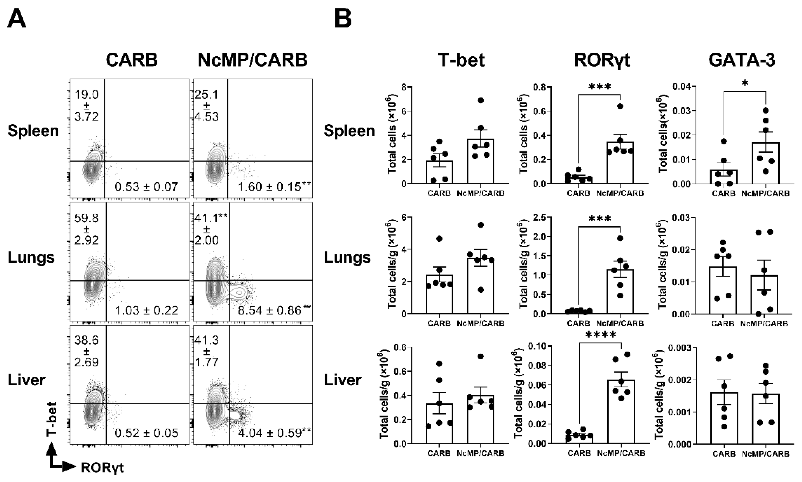Vaccines 10 00925 g007