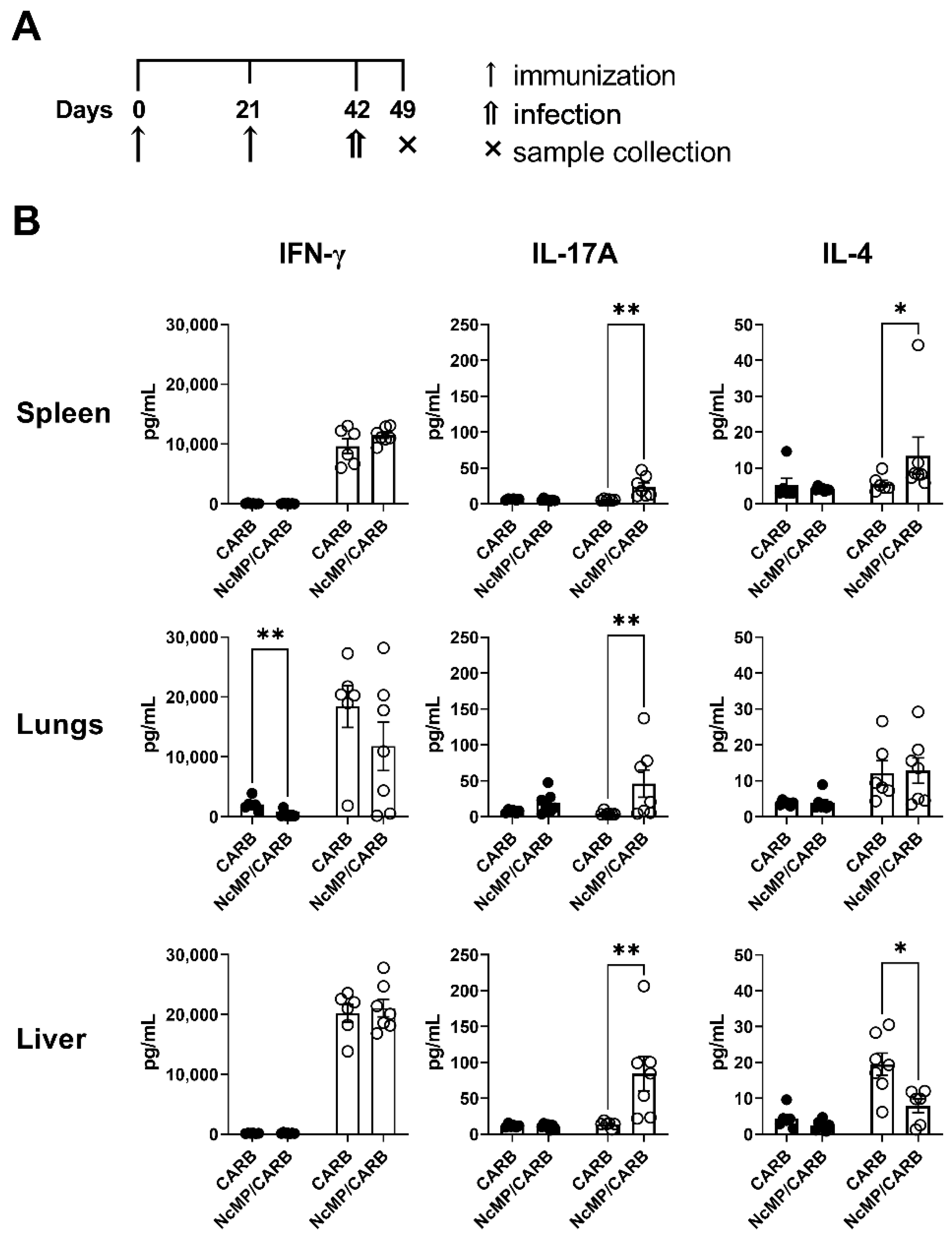 Vaccines 10 00925 g008